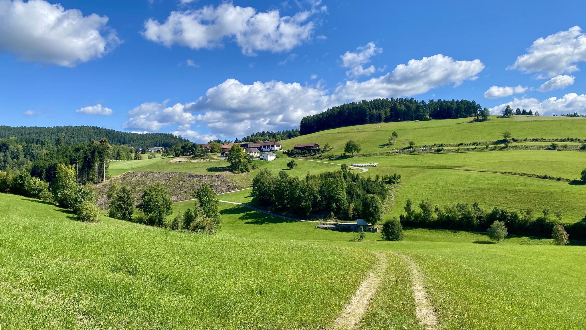 Senke Nußbaumer Bach