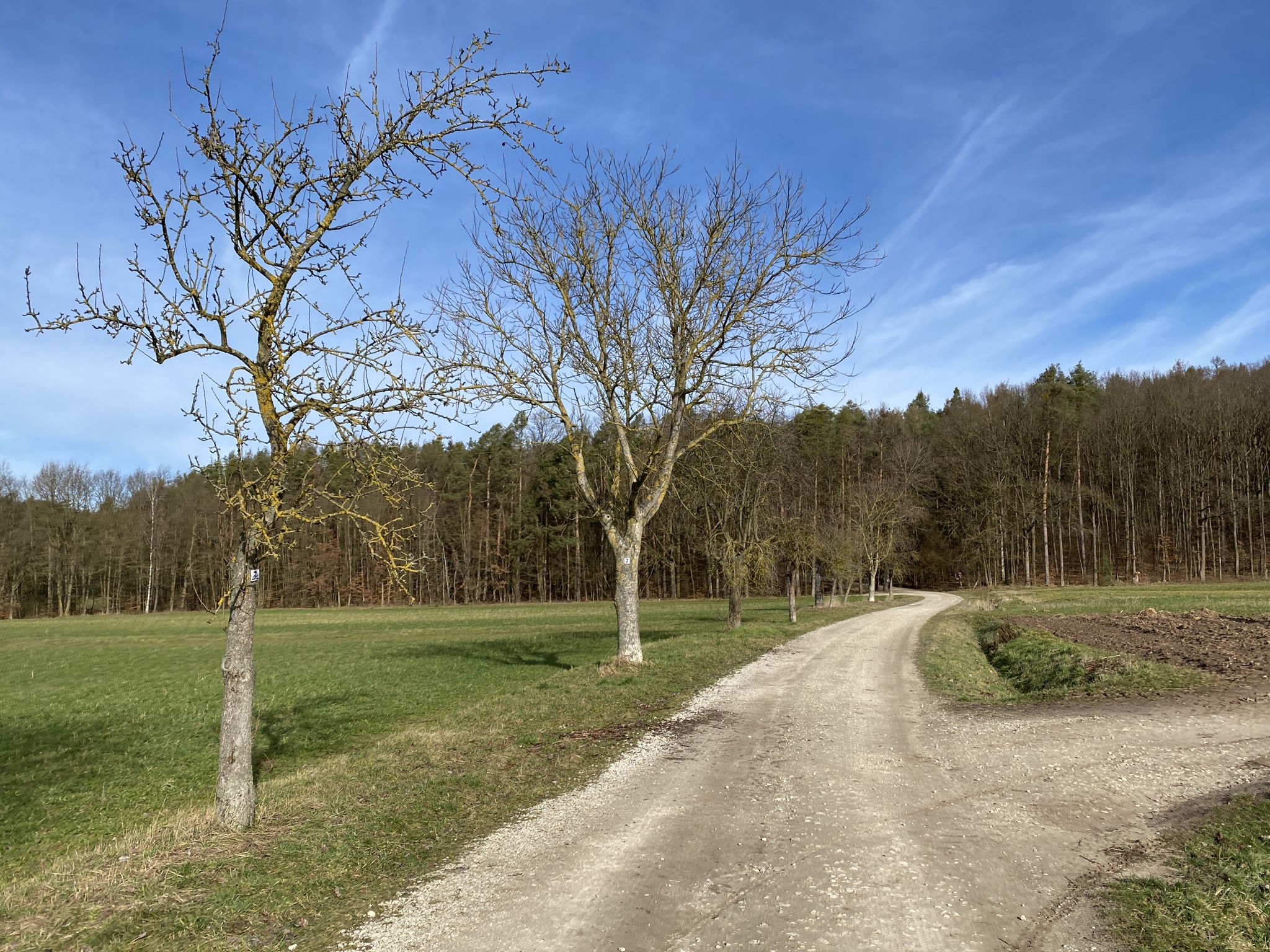 An der Wanderstrecke zum Holzskulpturenpfad