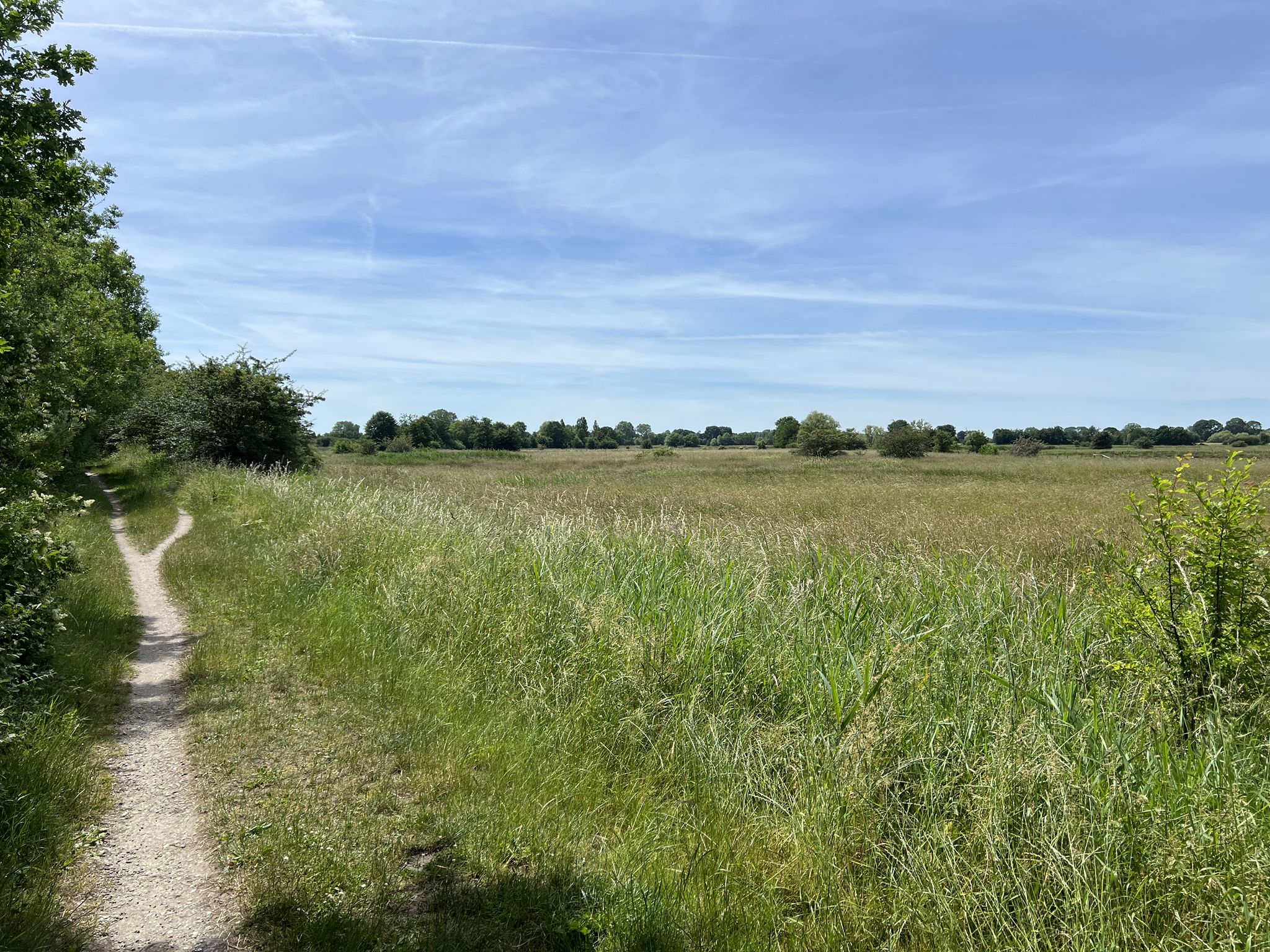 auf dem Singletrail hinter Holm