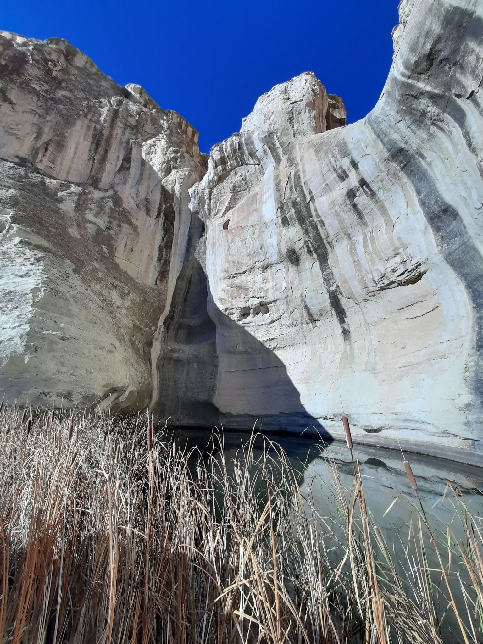Tall, light-colored canyon walls rise above water and dry reeds. - Inscription Rock Trail