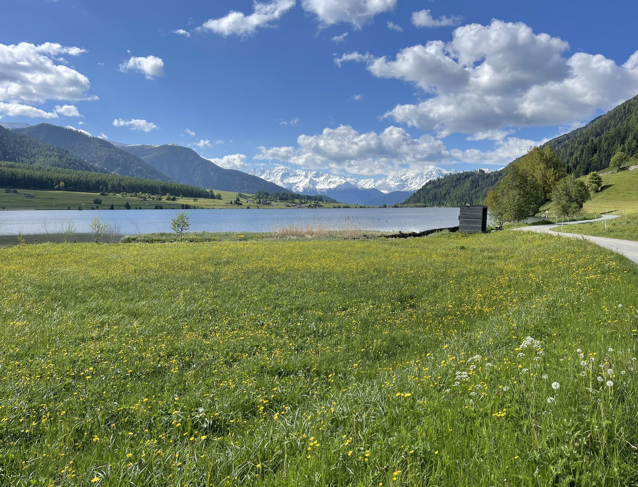 am Haidersee