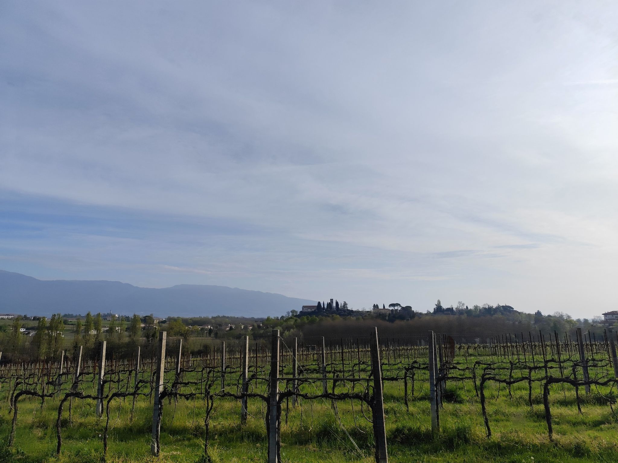 castel roganzuolo