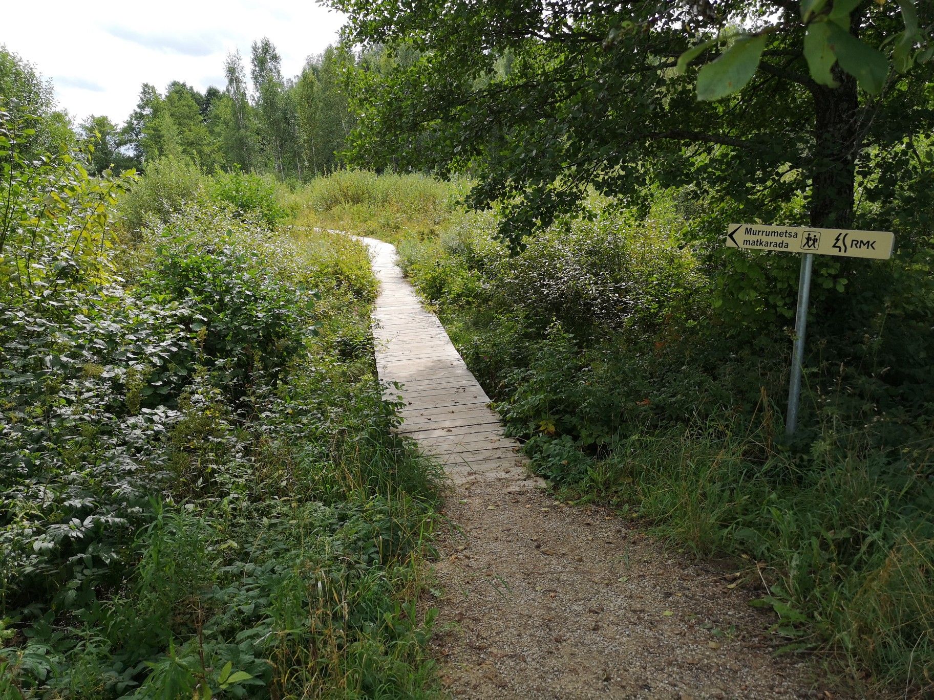 Otepää Murrumetsa Beginn Bohlenweg
