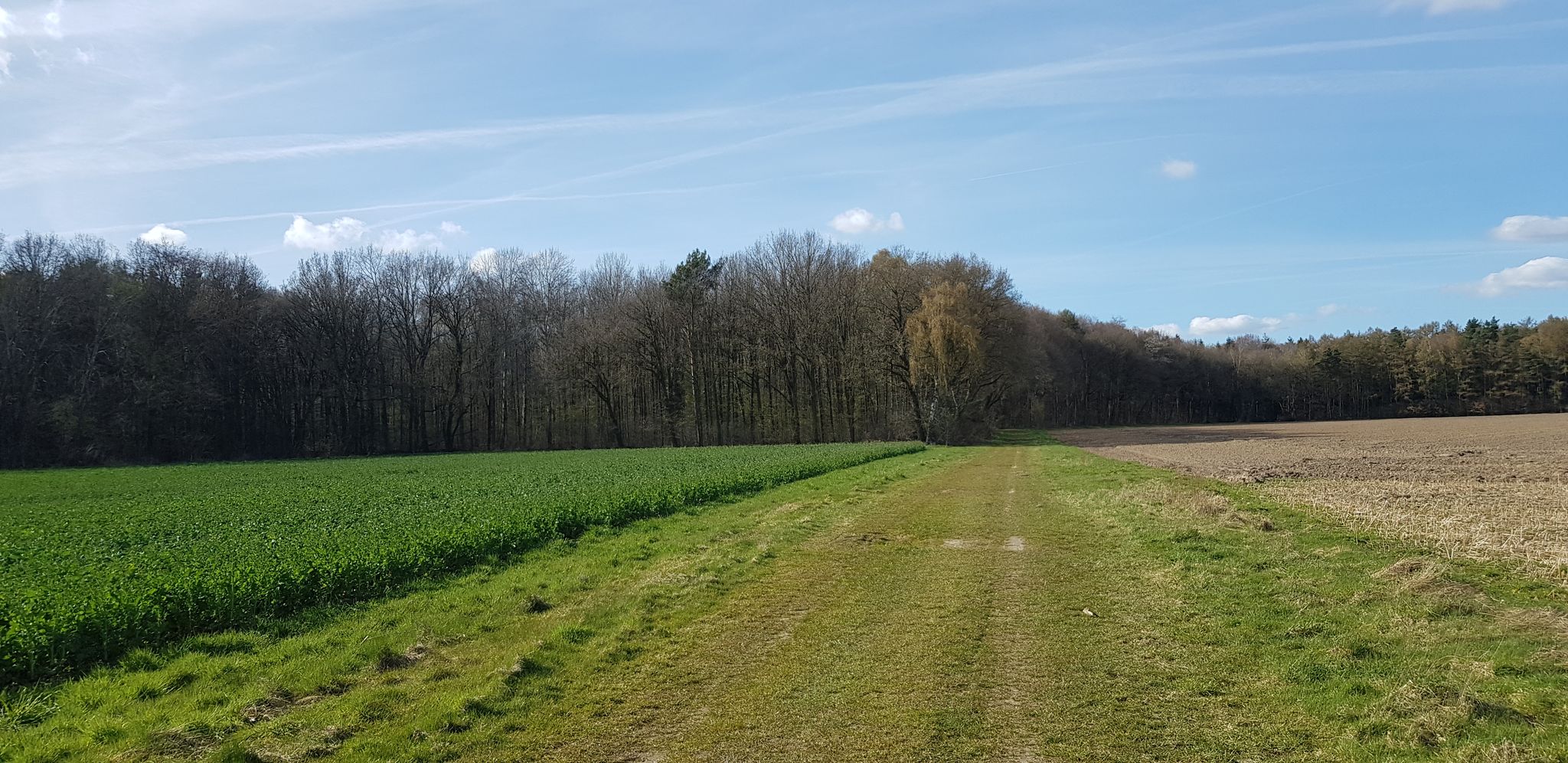 Sonne