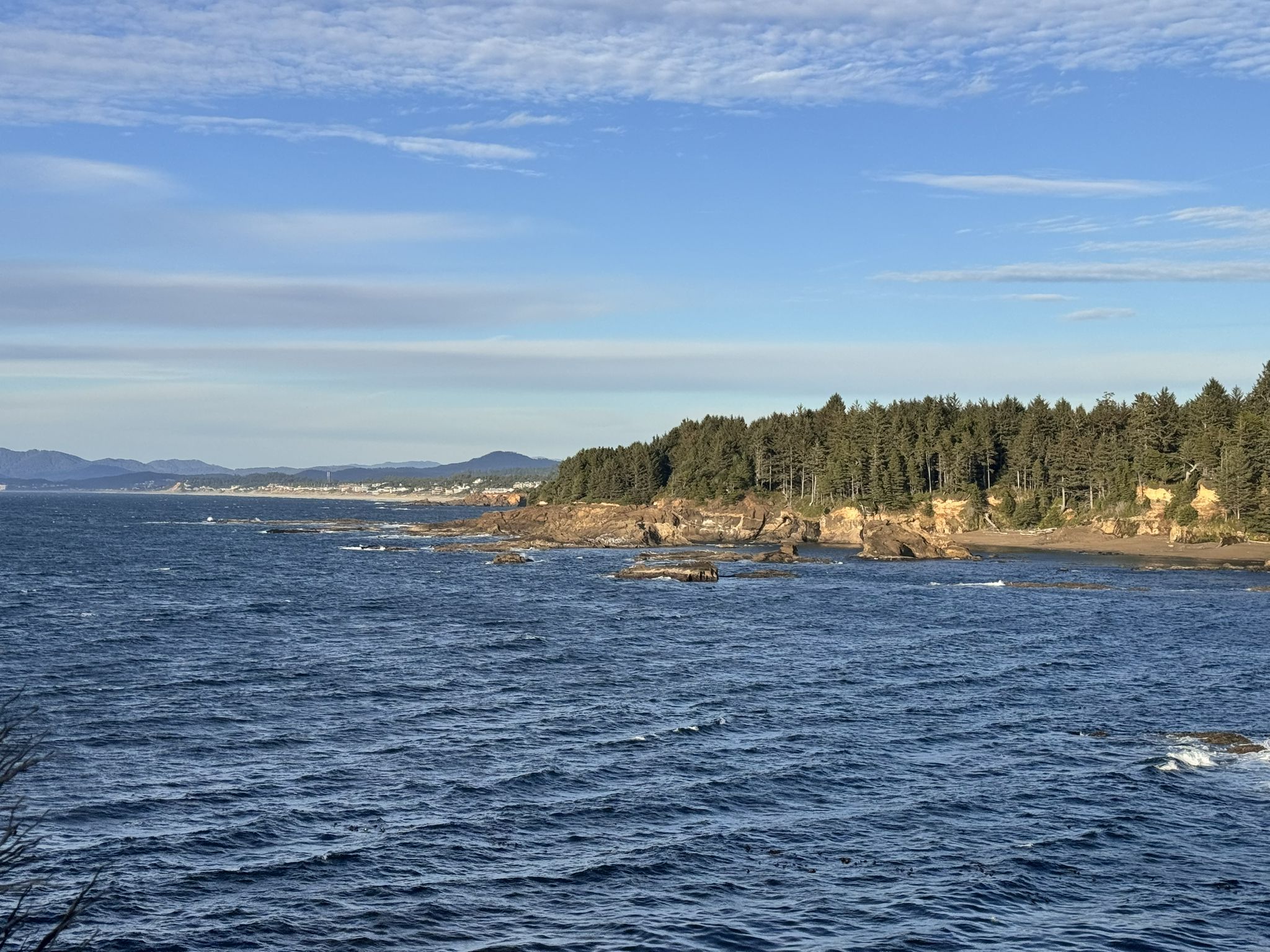 Blue ocean meets a forested rocky coastline under a bright, cloudy sky. - D River – North Old Scenic Highway 101 loop from Spyglass Ridge Open Space