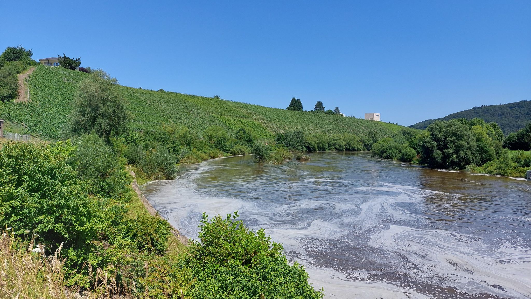 Saar