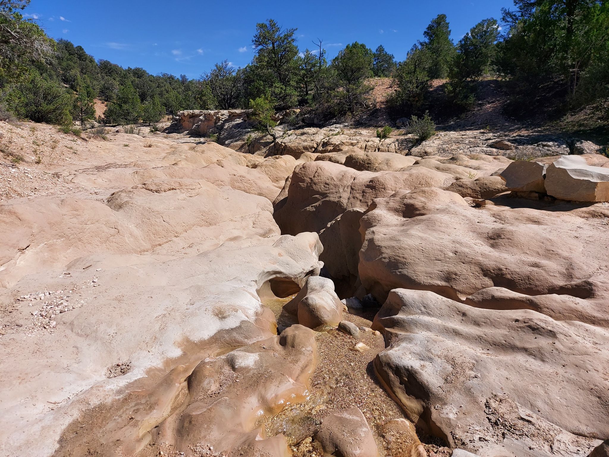 Eroded rock creek bed with shallow water under bright sun. - Willis Creek Narrows Trail