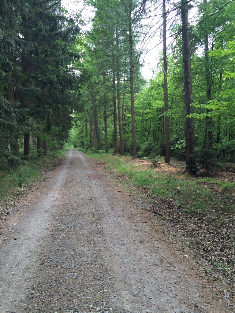 Weg zum grafhorn