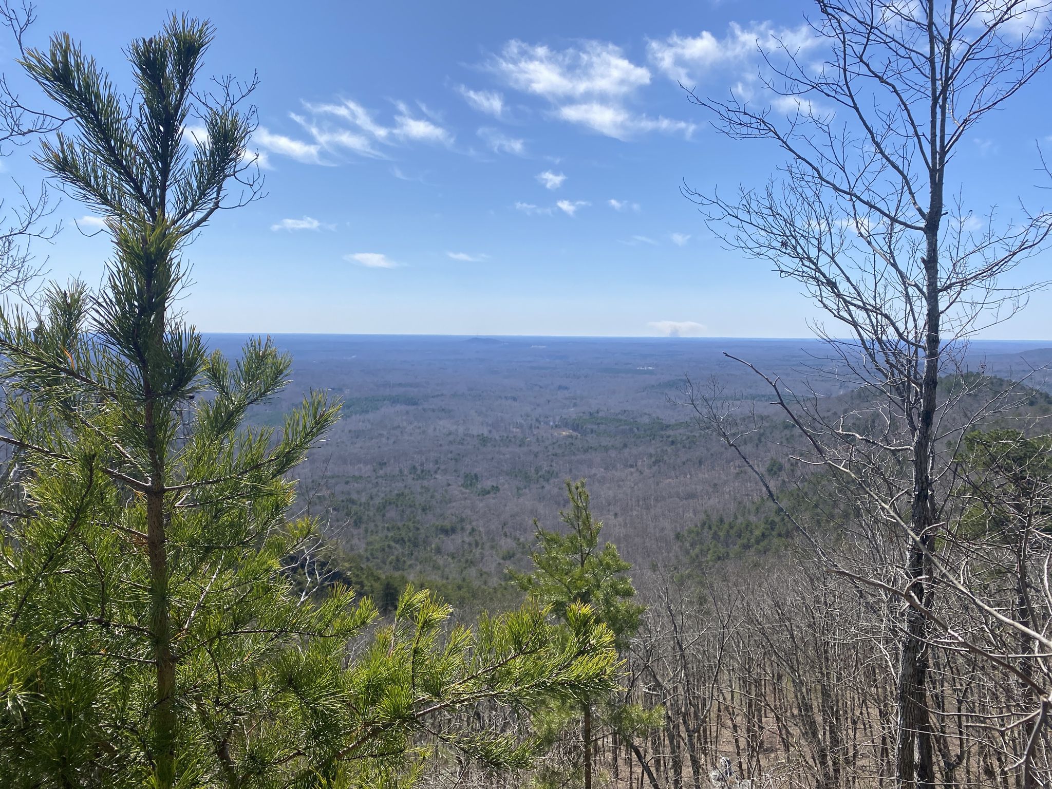 Expansive view of a distant, dormant forest under a bright blue sky with wispy clouds. - Tower Trail