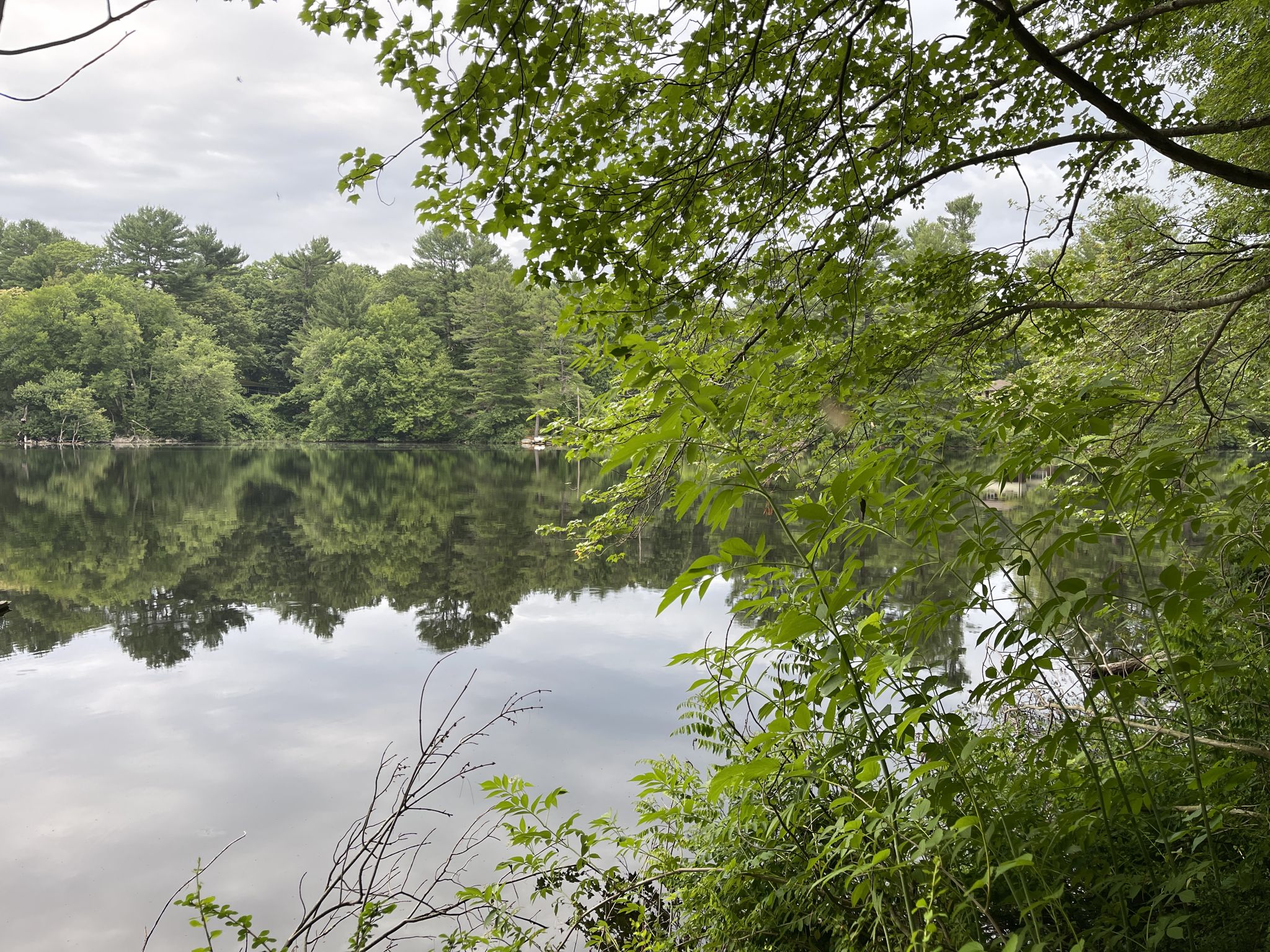 Overcast lake reflecting trees and sky, framed by green foliage. - Guernsey Sanctuary and Riverside Trail
