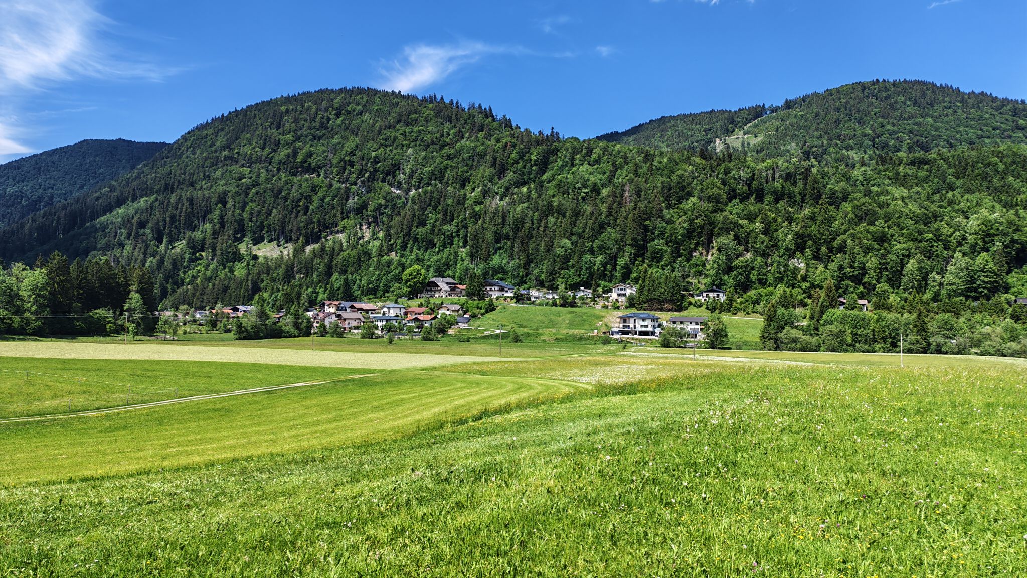 Schönau