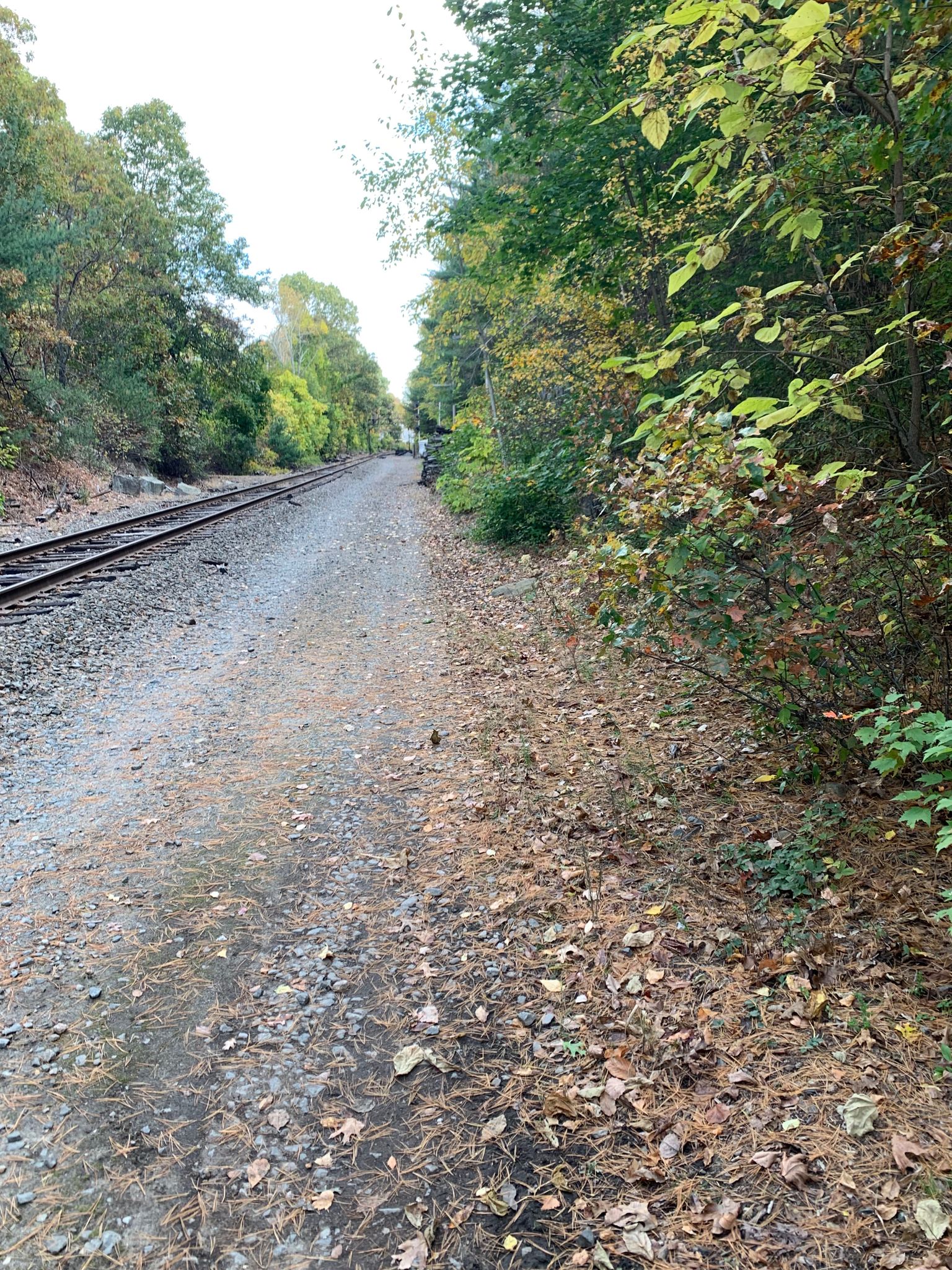 Railroad tracks and a dirt path lined with trees and fallen leaves. - Tibetan Cultural Center – Stone Arch Bridge loop from Wharton Plantation