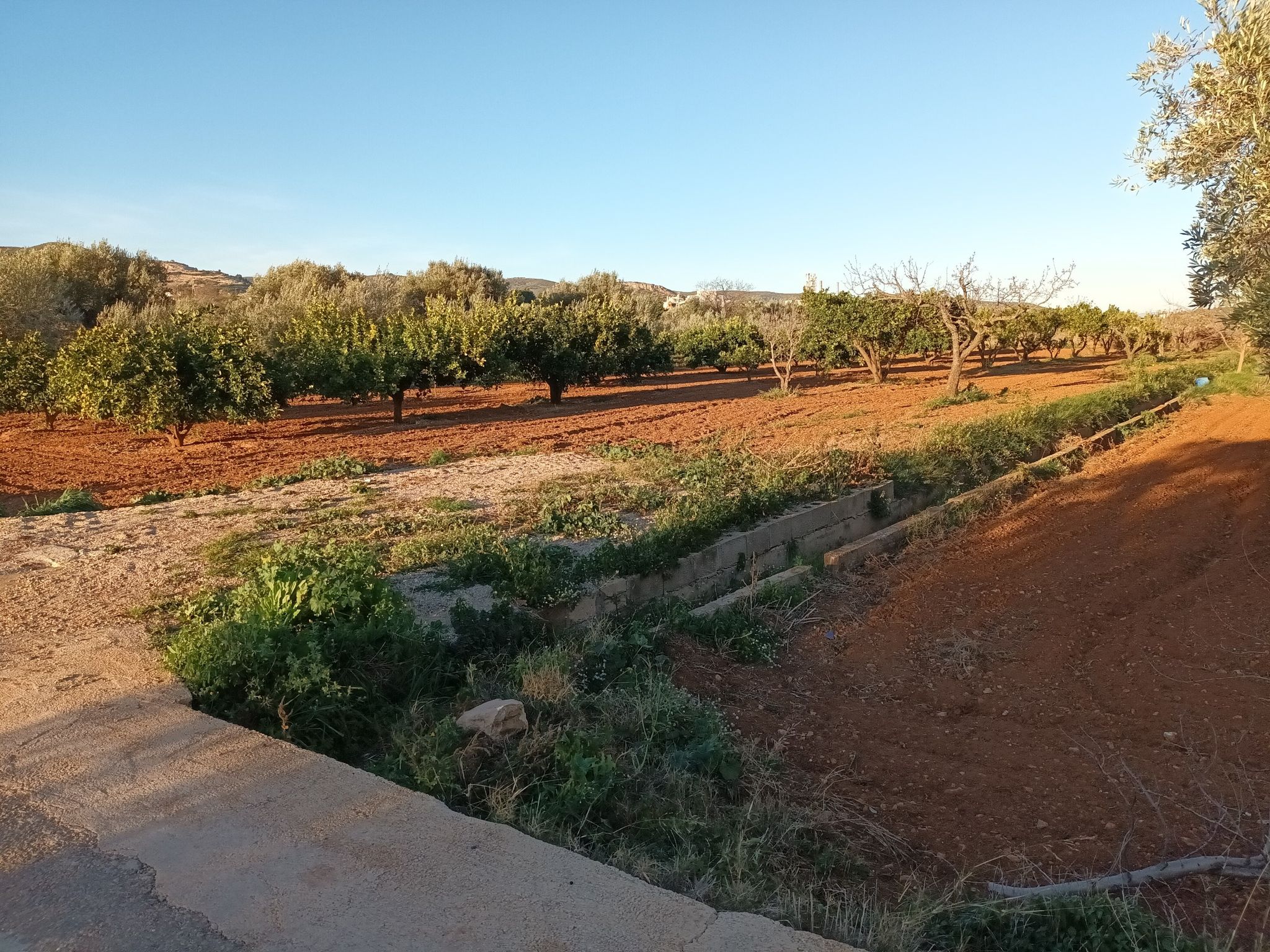 huerta arriba