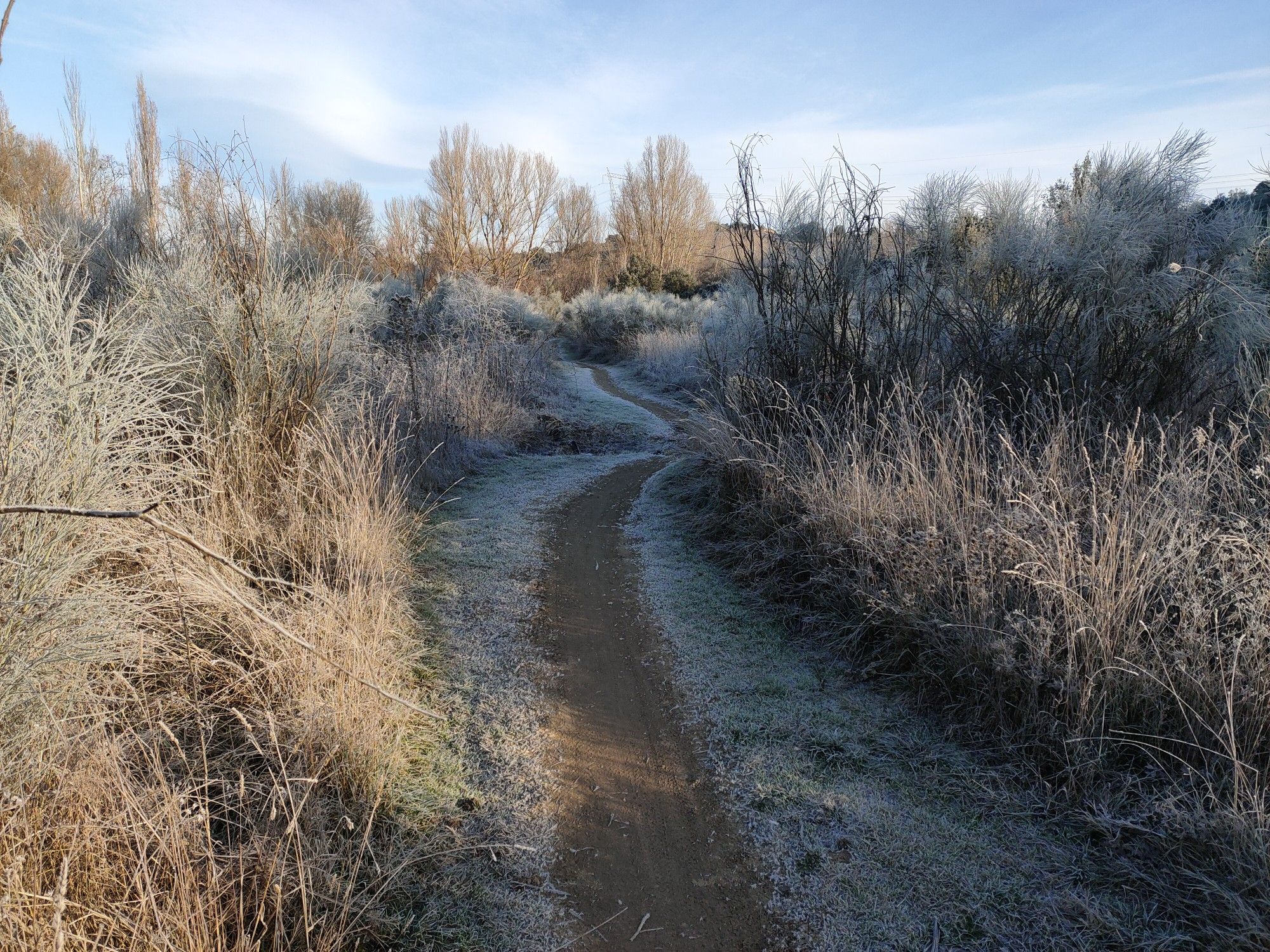 Camino de la Alcantarilla