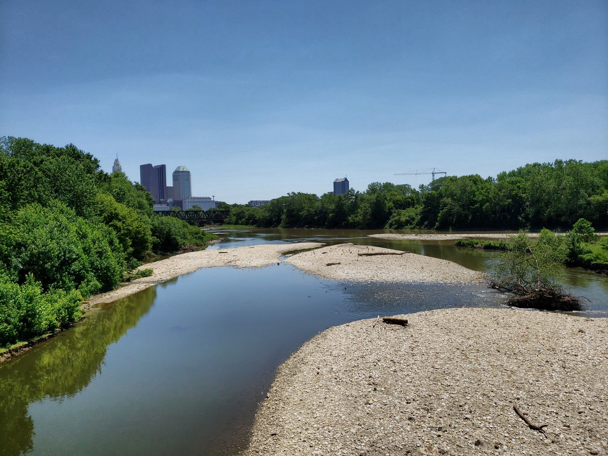 River with sandbars, green trees, and distant city buildings under a clear sky. - Olentangy River – Olentangy Trail loop from Riverlea