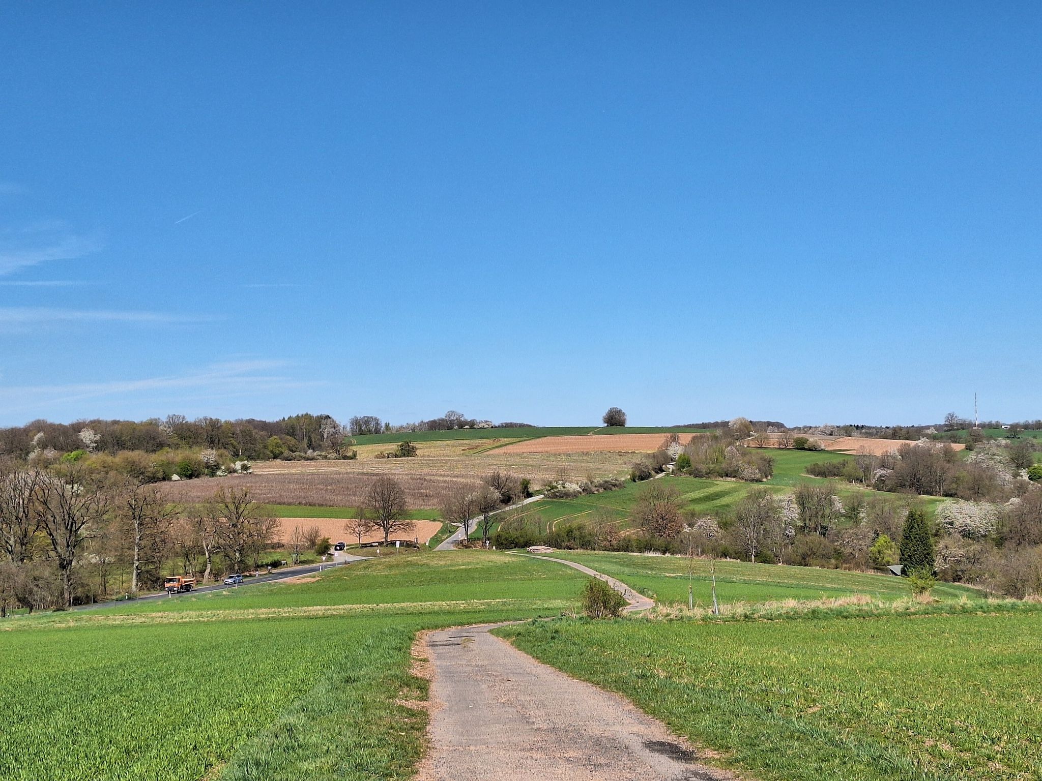 Auf dem "Hasenkopf"