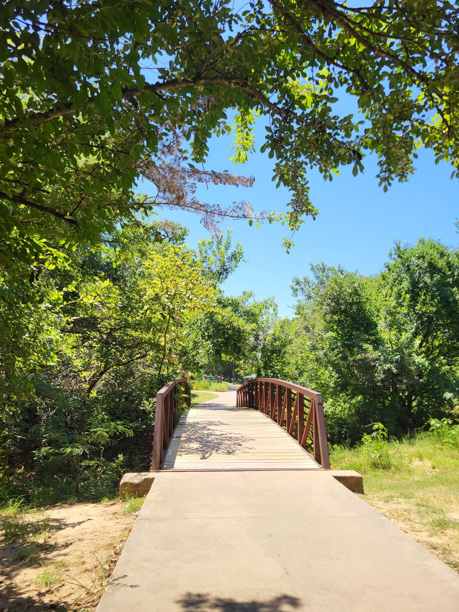 Concrete path leading to a brown bridge surrounded by green trees on a sunny day. - Purple Coneflower Trail