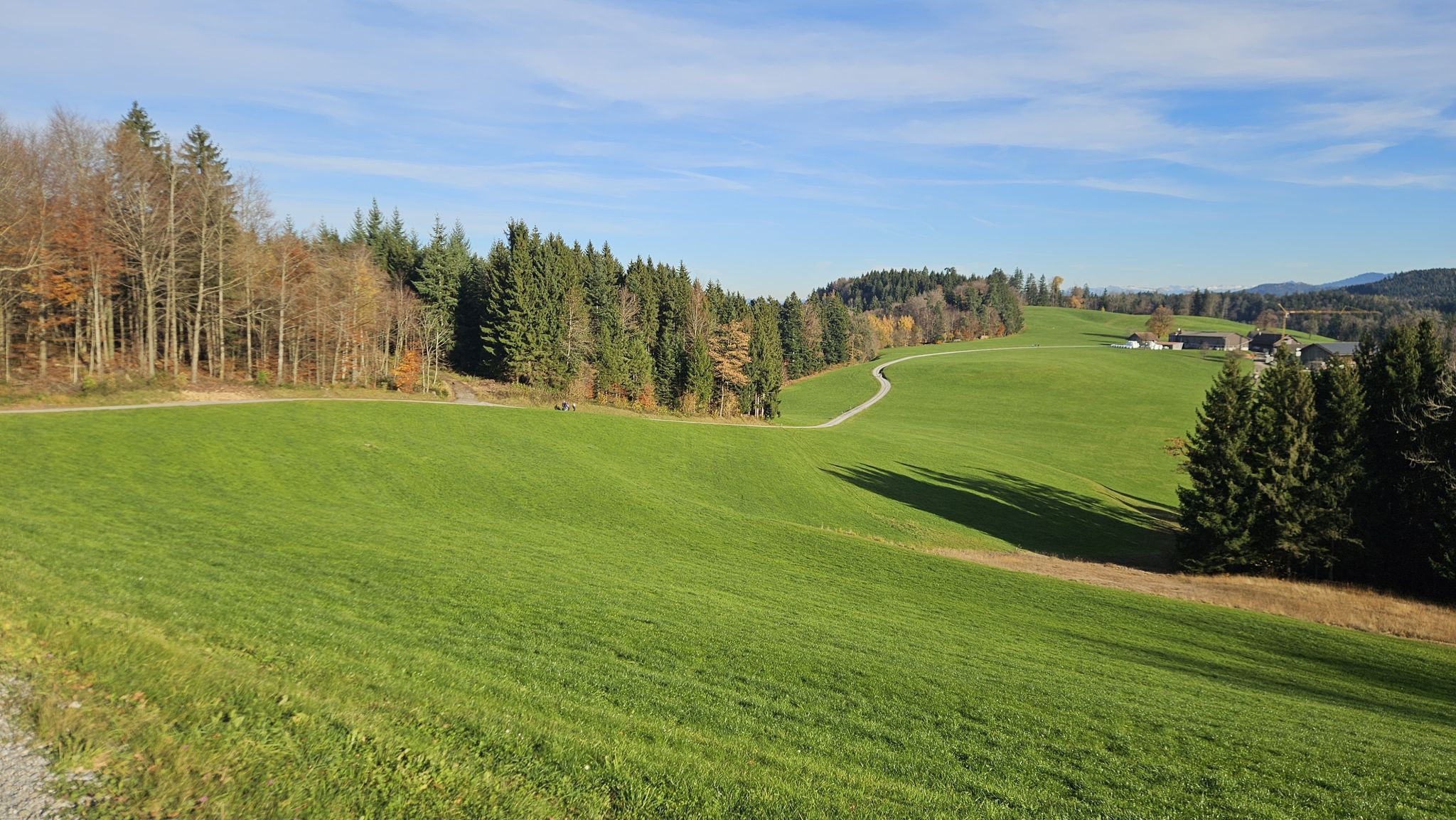 der Weg auf Feldstrasse