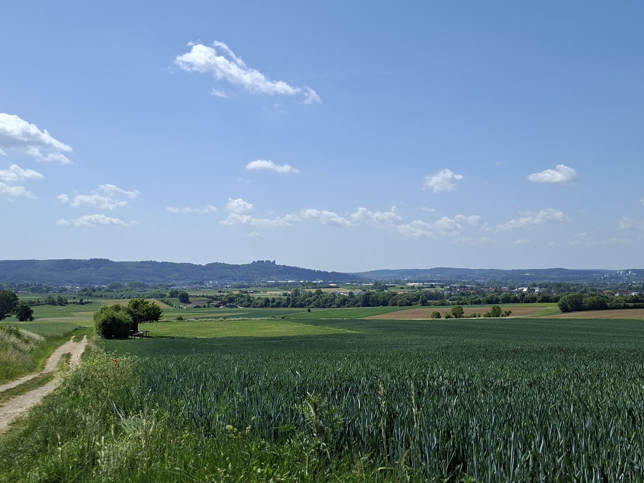 Blick vom Lauterberg zur Veste