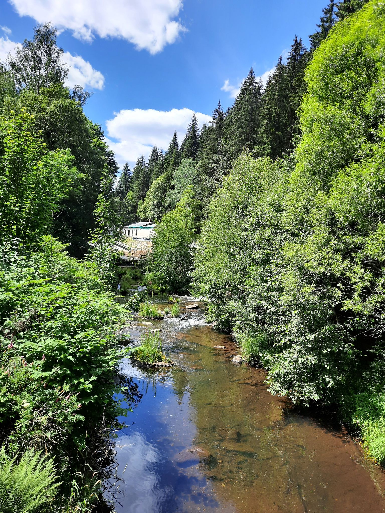 Schwarzwasser