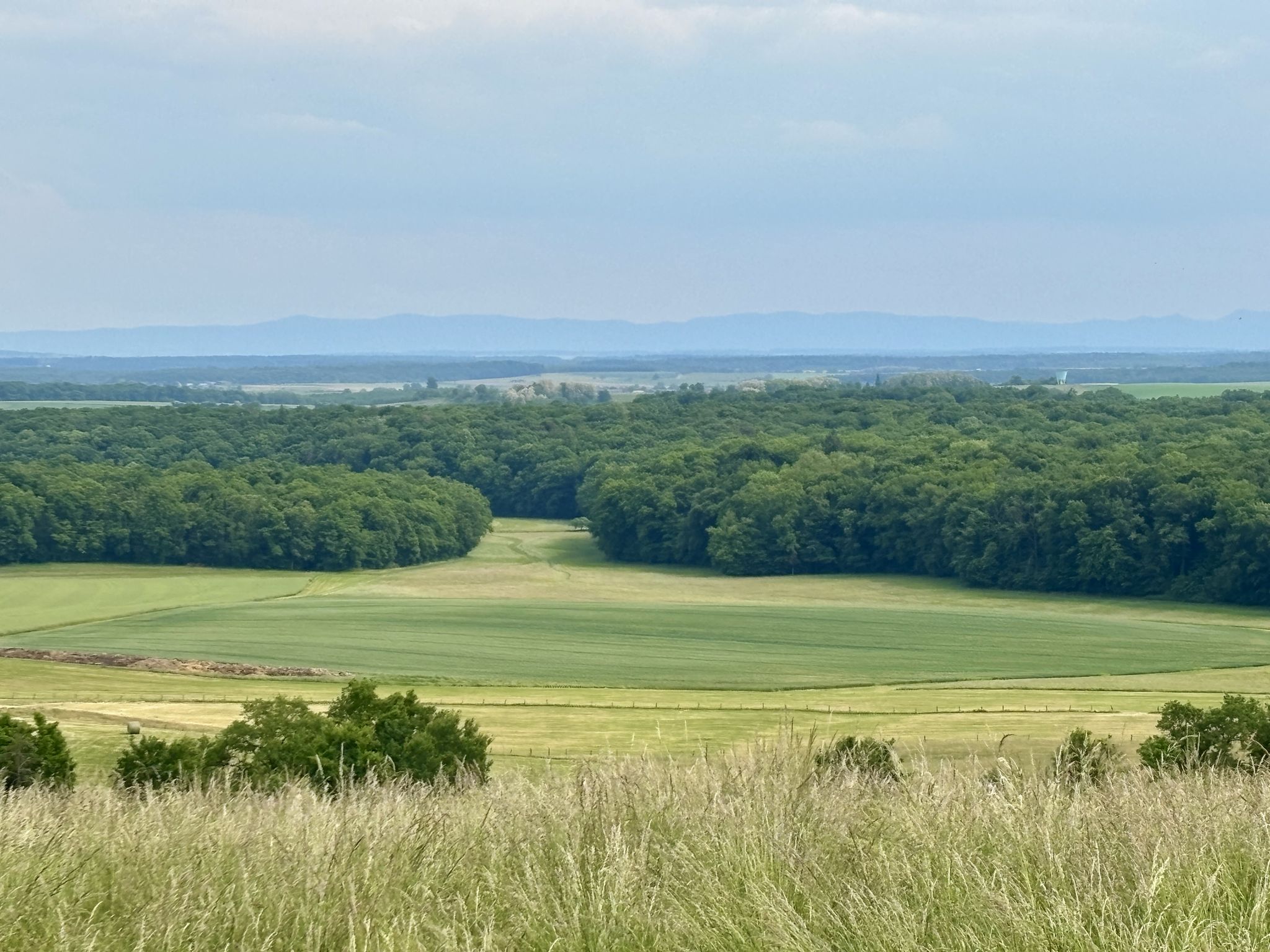 Vue sur le massif des Vosges