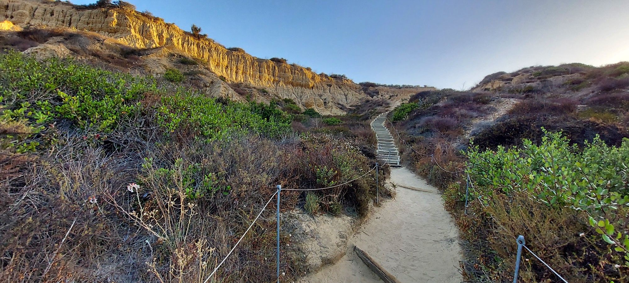 Dirt path with wooden steps winding up a brush-covered hill towards sunlit cliffs. - Torrey Pines Beach Trail Loop
