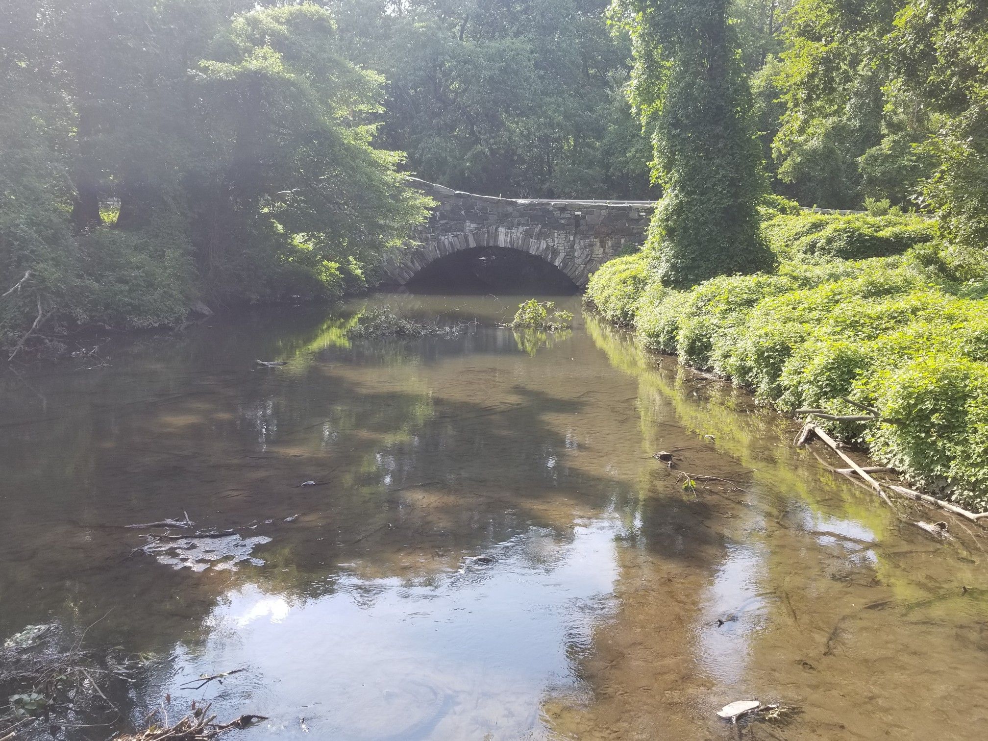 Stone arch bridge over a shallow river surrounded by lush green foliage. - Tibbetts Brook Park Entrance – Tibbetts Brook Park loop from Riverdale