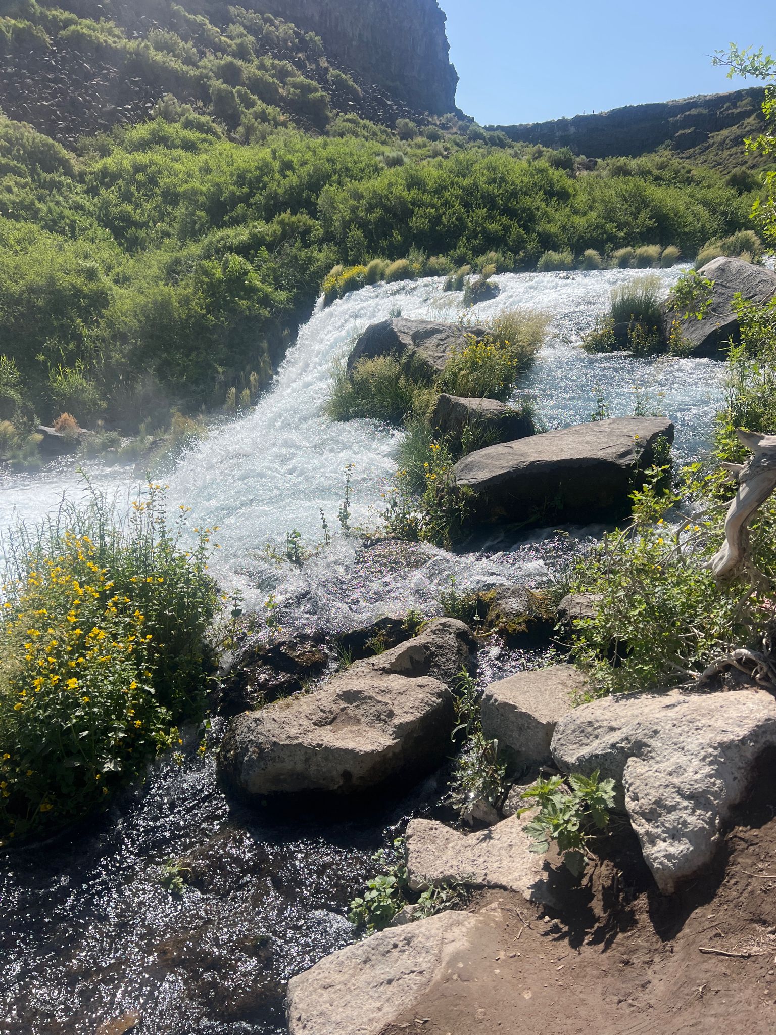 Small waterfall flowing over rocks into a stream, with green and yellow plants. - Box Canyon Waterfall – Box Canyon Springs loop from Box Canyon Springs Preserve