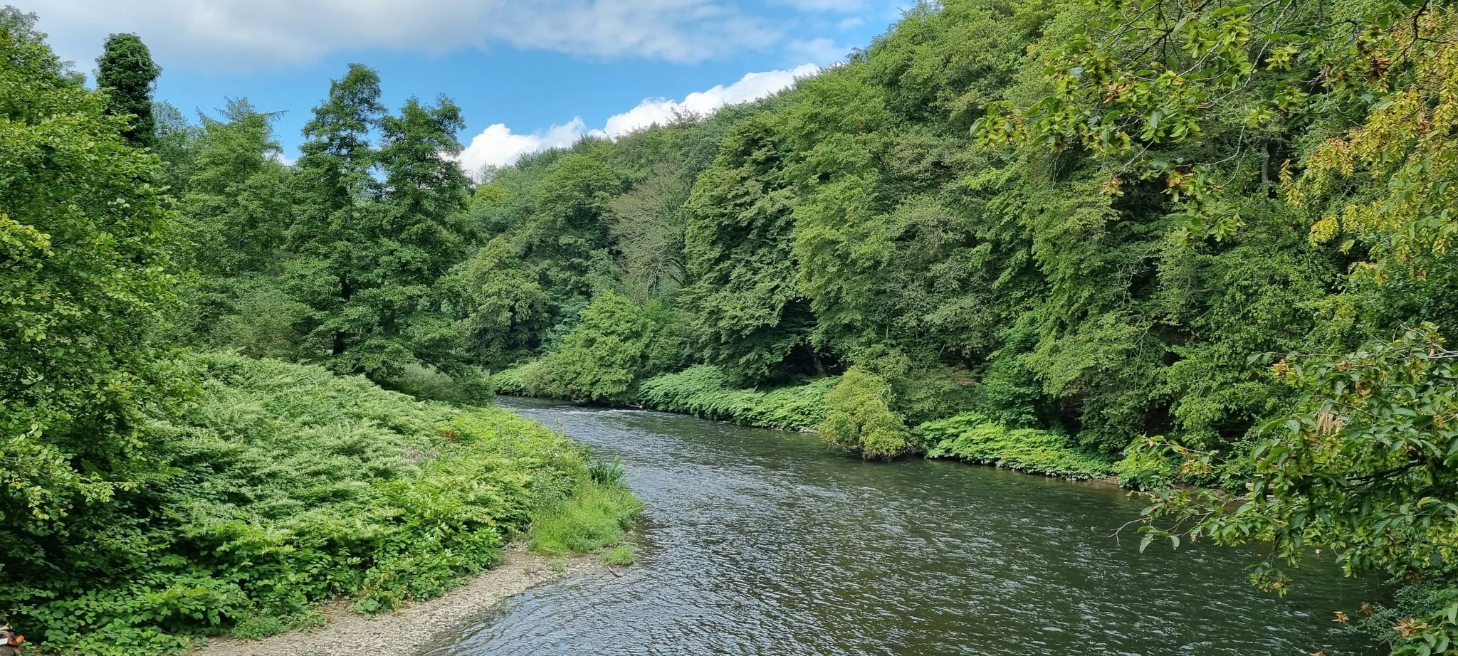 Wupper