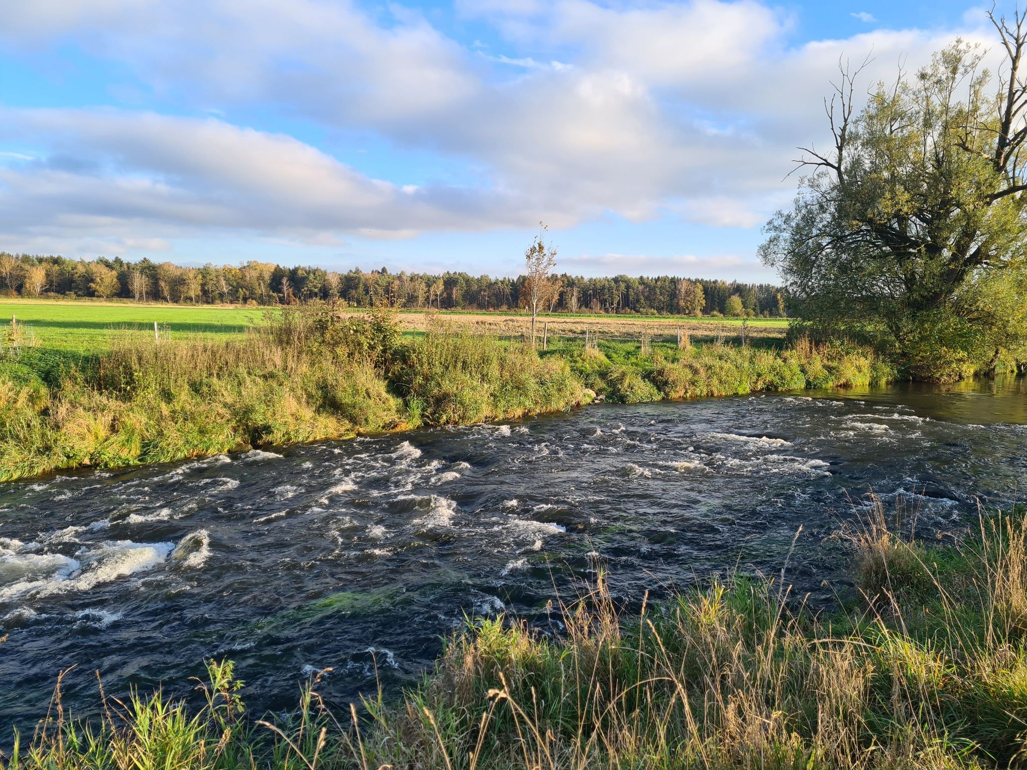 Stromschnellen