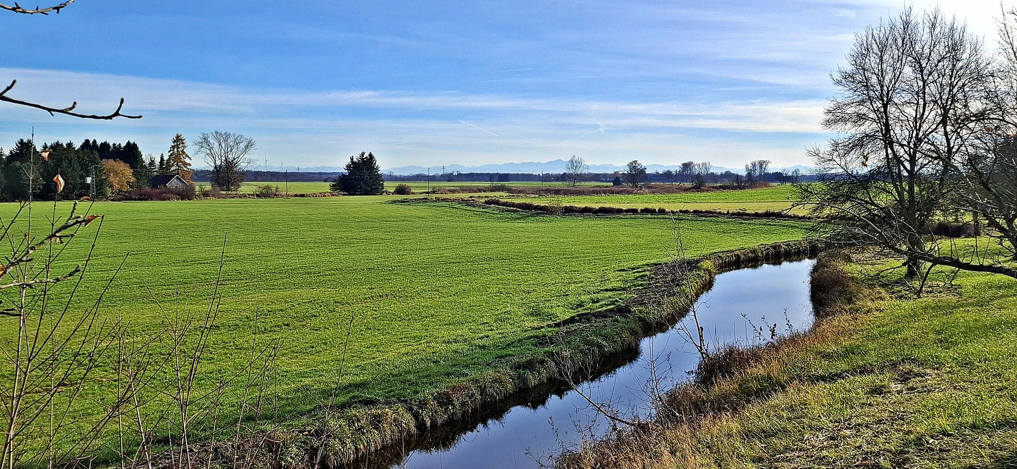 Scharlachbach