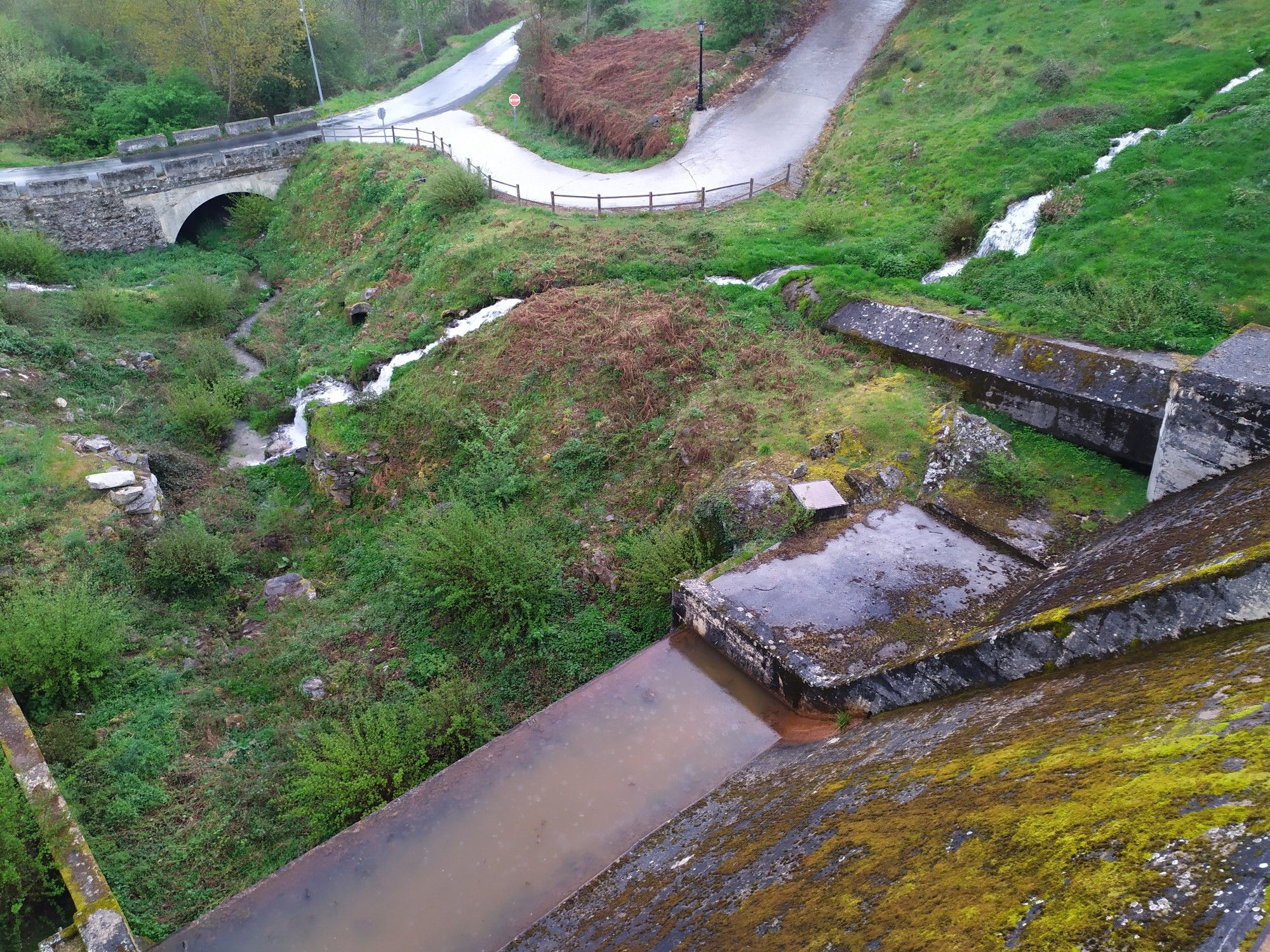 Presa Cea