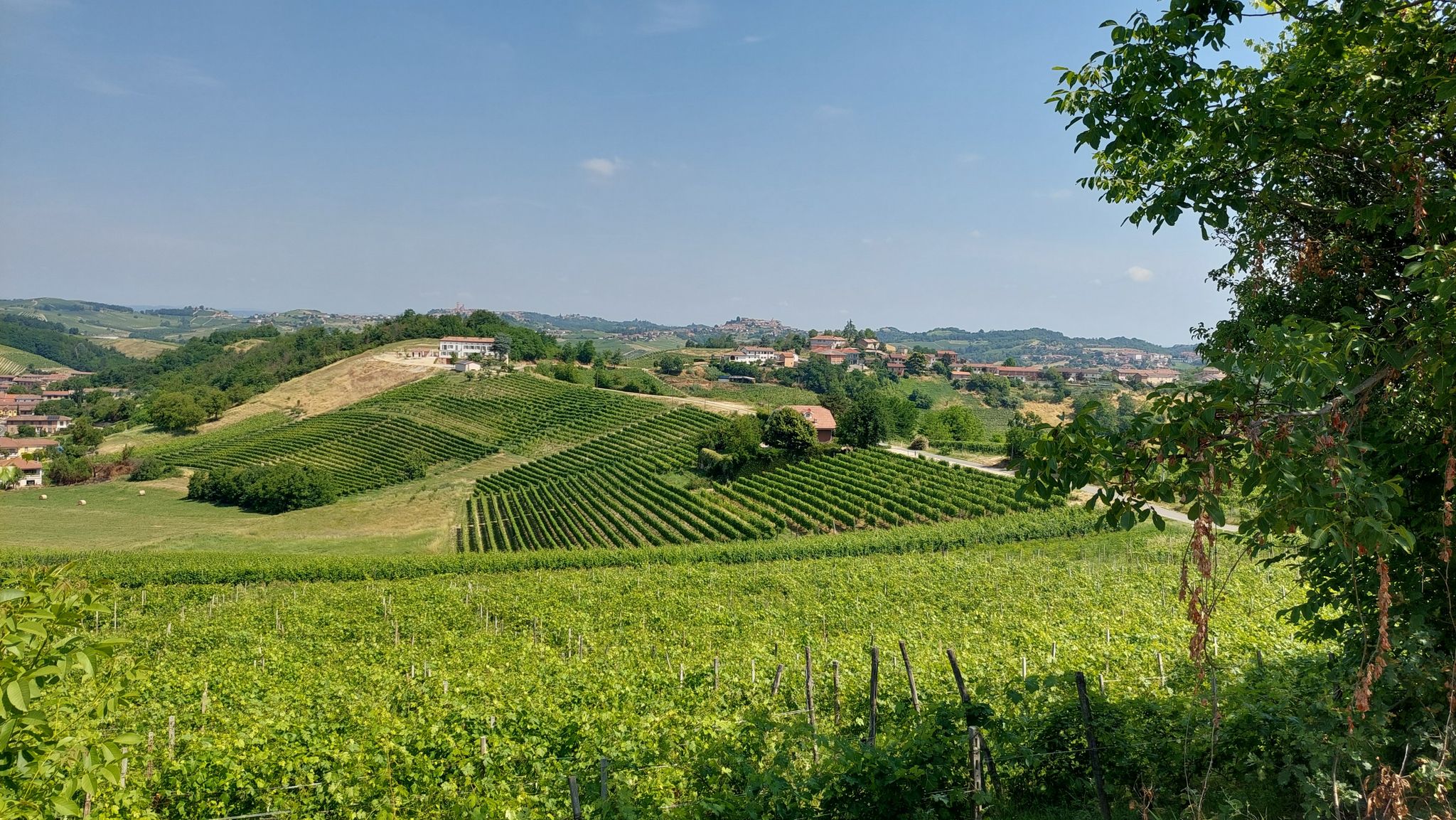 Montegrosso d'Asti 