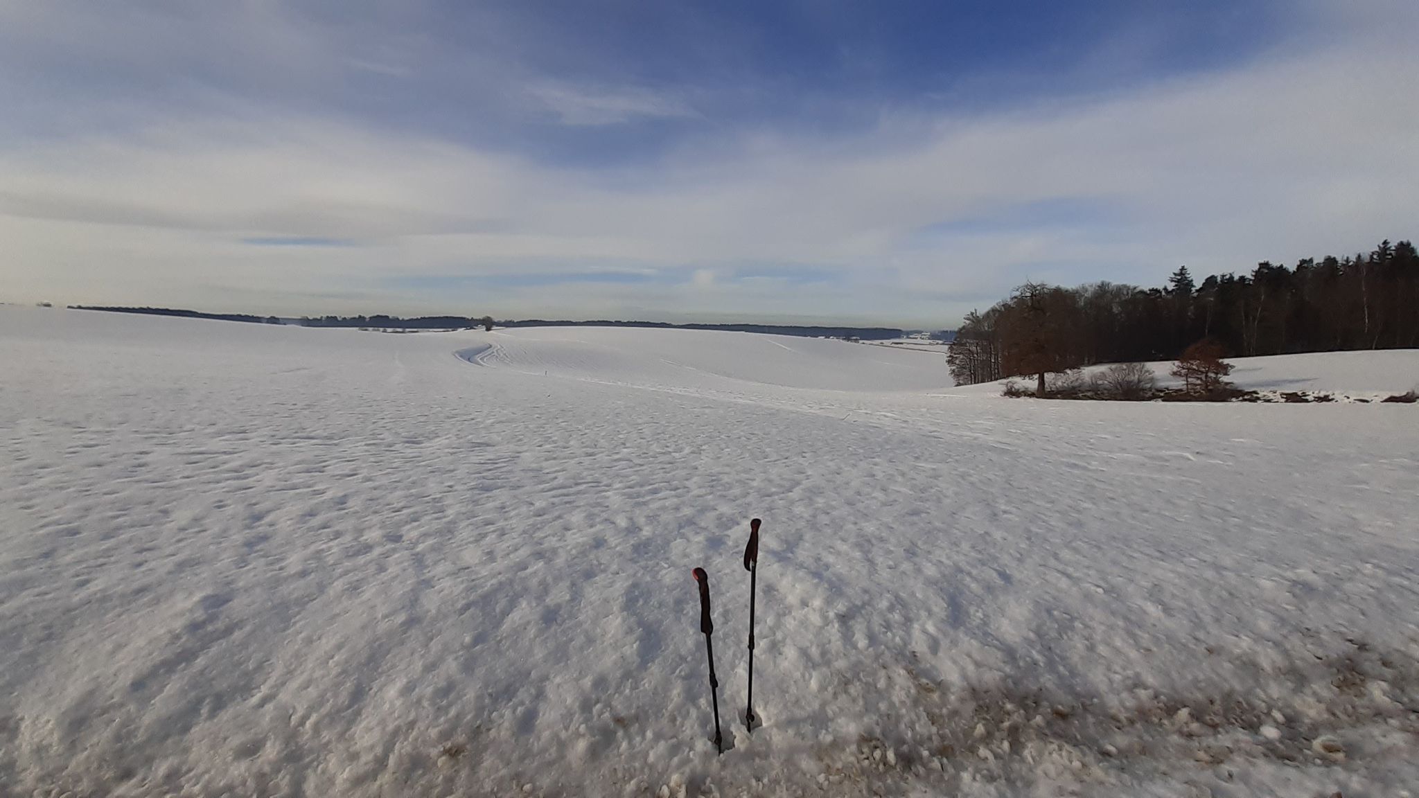 Schnee, soweit das Auge reicht - herrlich !!!
