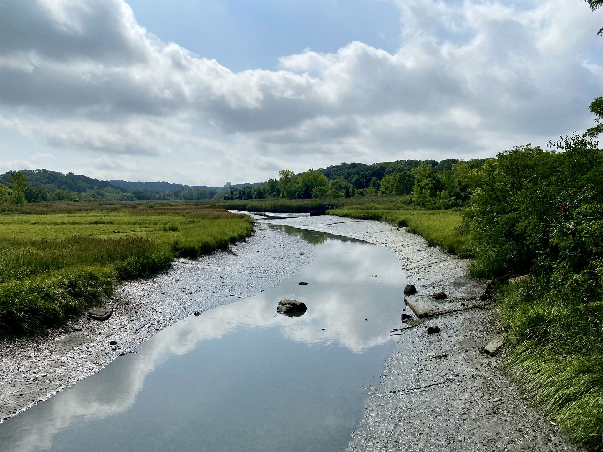 A winding river through marshland under a cloudy sky. - Glen Oaks Oval to Central Park loop