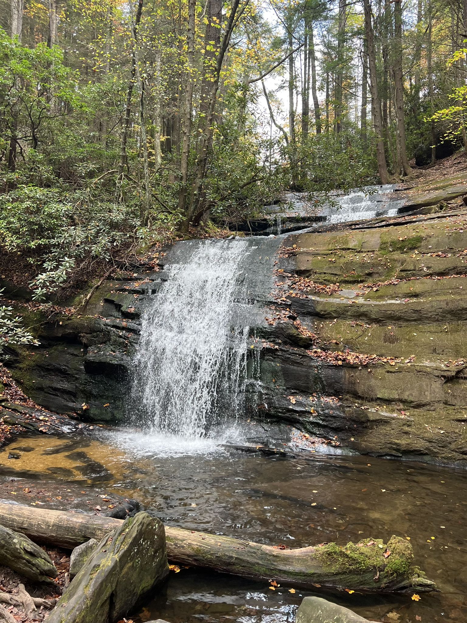 A beautiful waterfall cascades over mossy rocks into a clear stream. - Long Creek Falls Trail