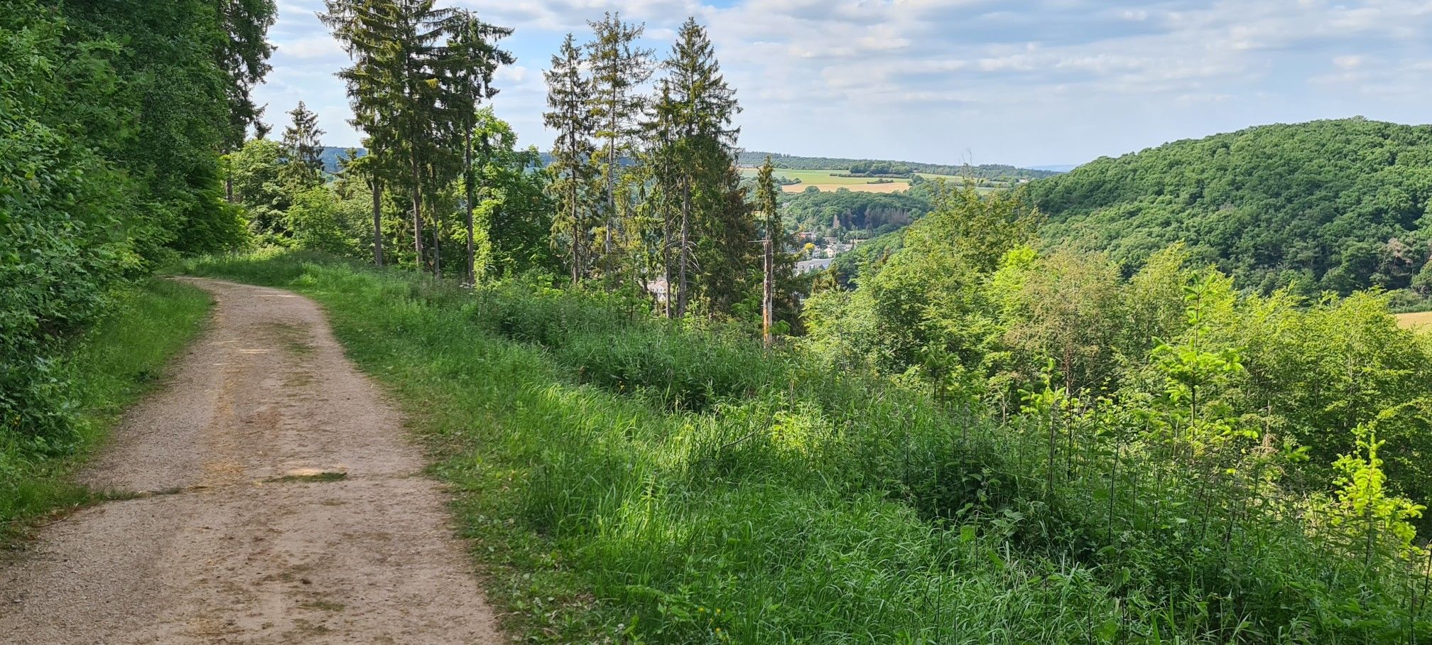 Natur