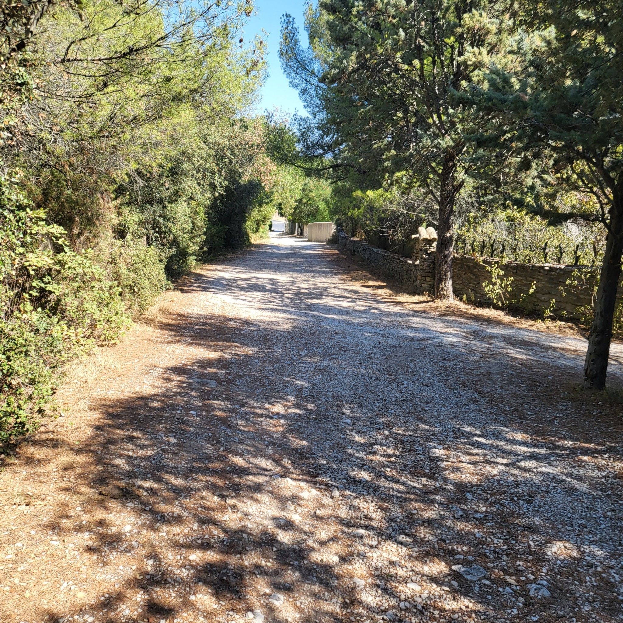 Das Ende des coolen Singletrails