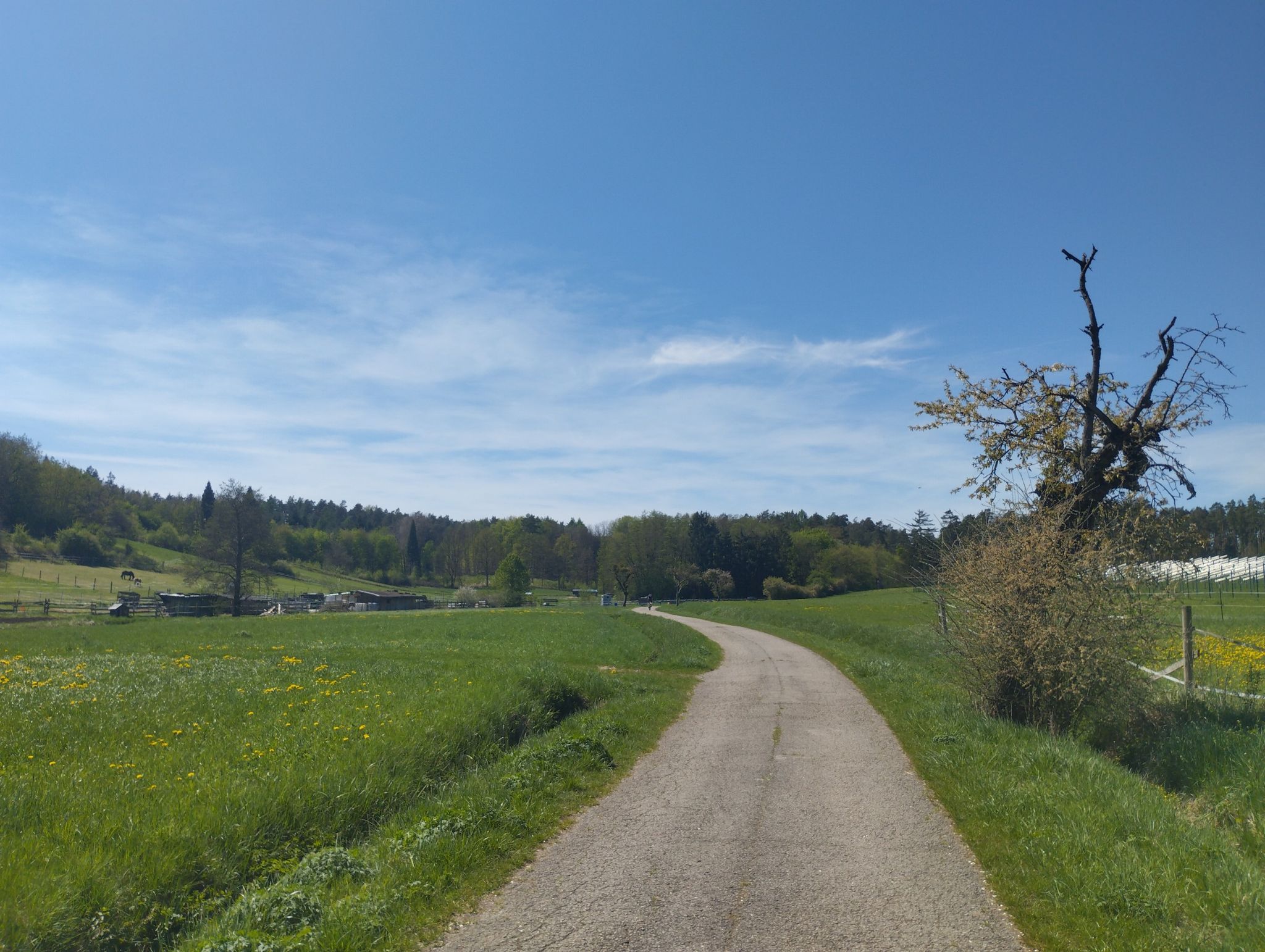 Schöner weg zum Callenberger Forst