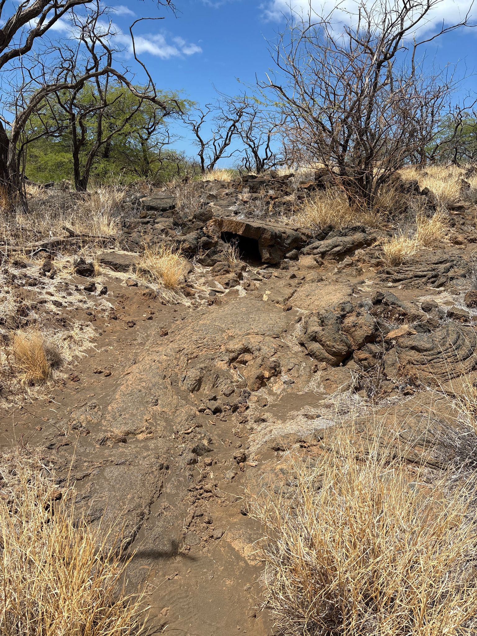 Rocky, dry path winding uphill through sparse, dry vegetation under a blue sky. - Puakō Petroglyph Field loop from 49 Black Sand Beach