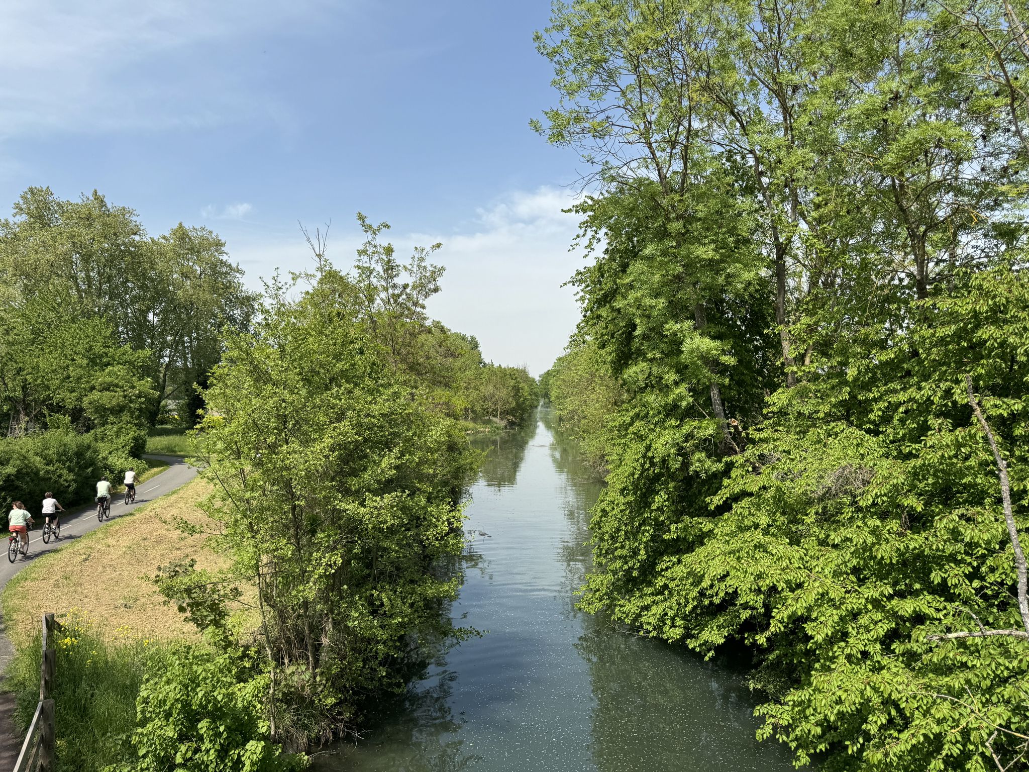 Rhone - Rhein Kanal bei Marckolsheim