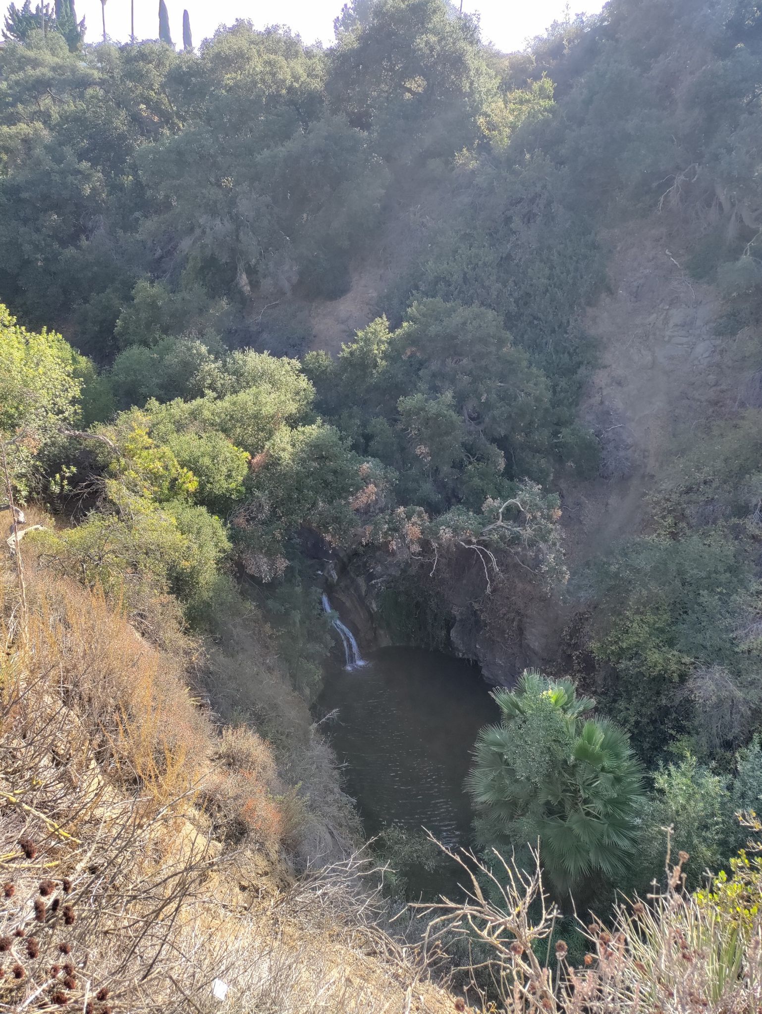 A small waterfall cascades into a dark pool within a steep, tree-filled ravine. - Wooden Bridge Over Stream loop from California Lutheran University