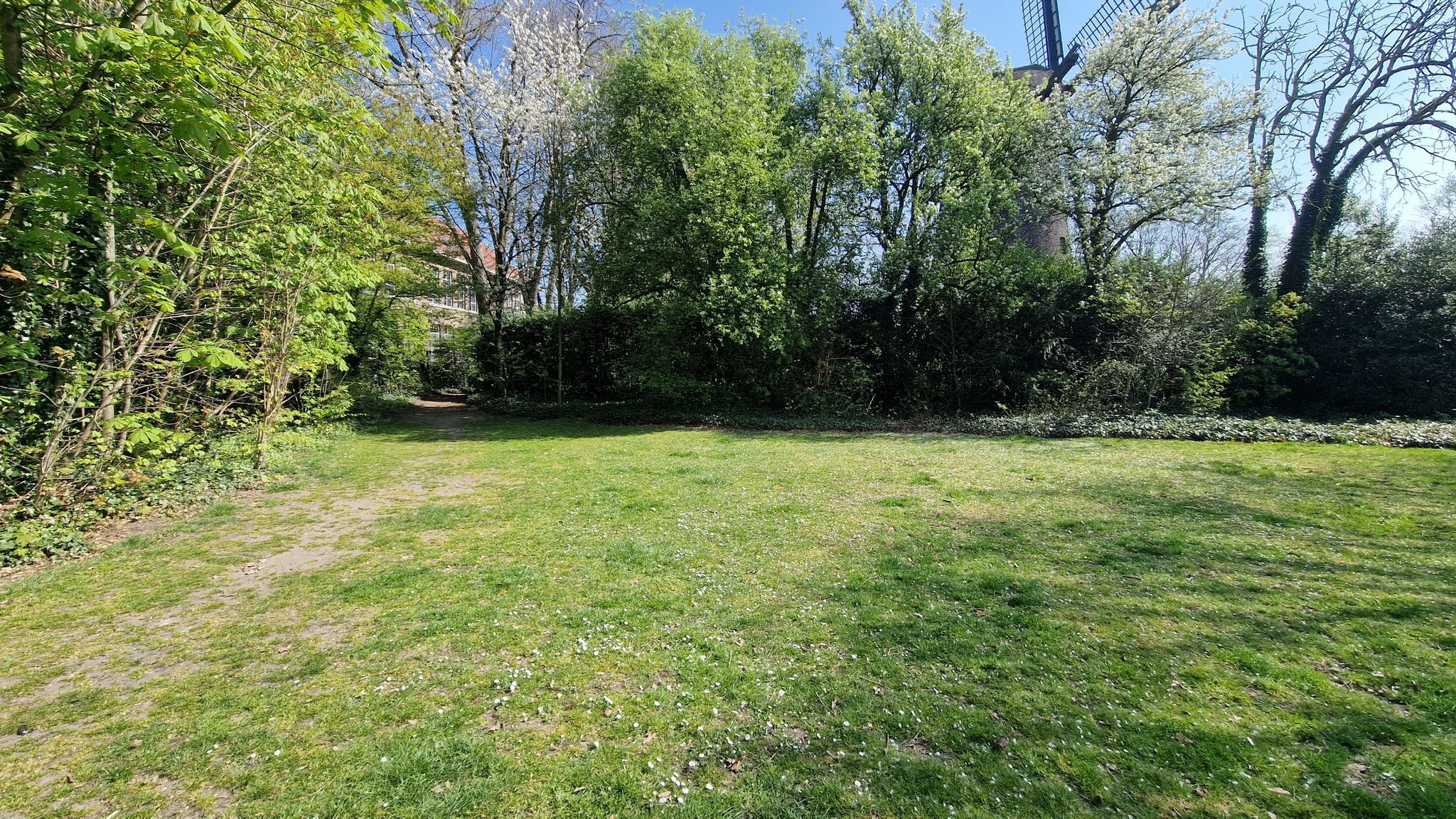 groene doorsteek