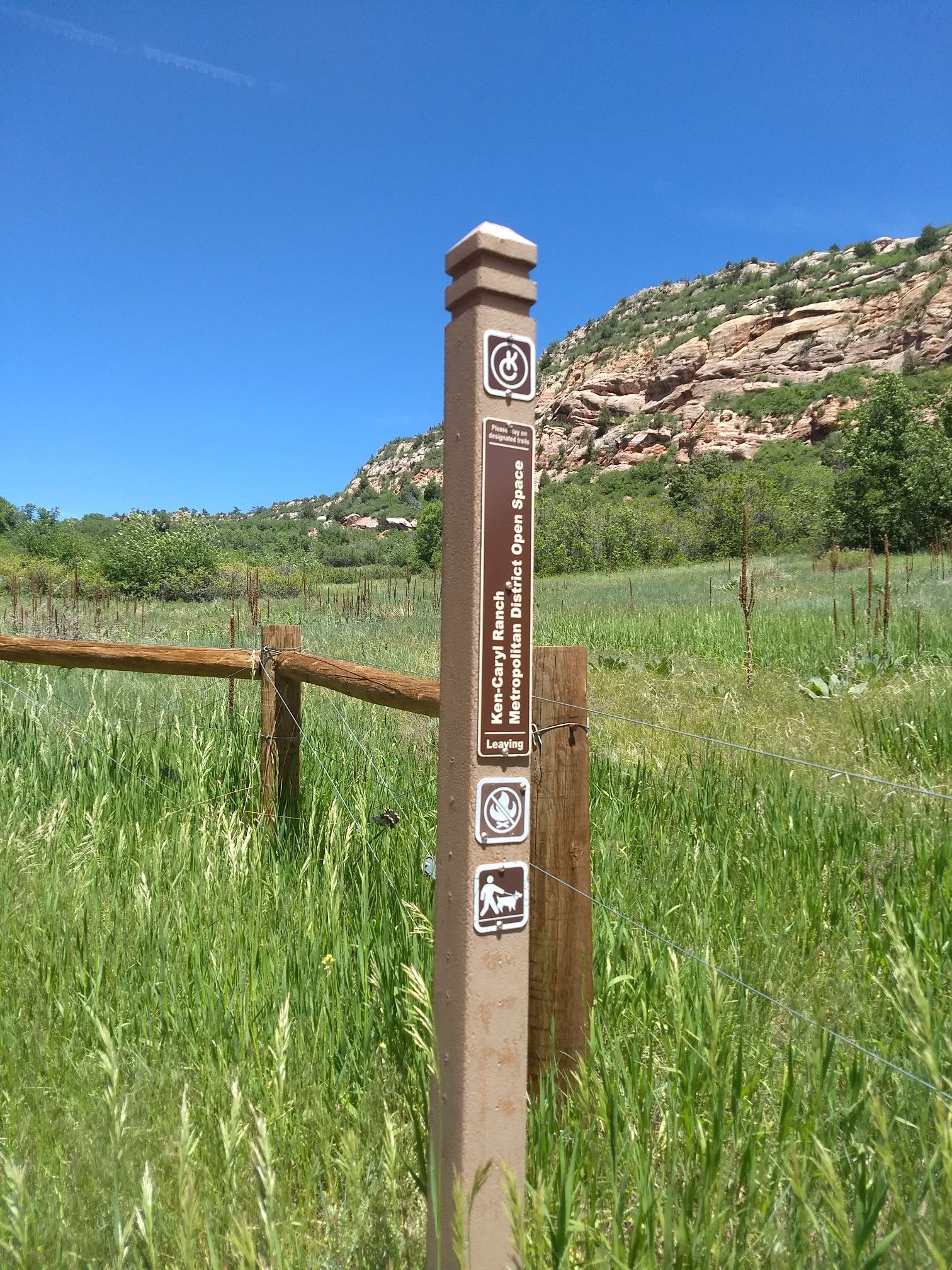A wooden trail marker post in tall green grass on a sunny day. - Grazing Elk Trail loop from Classification Natural Resource Protection