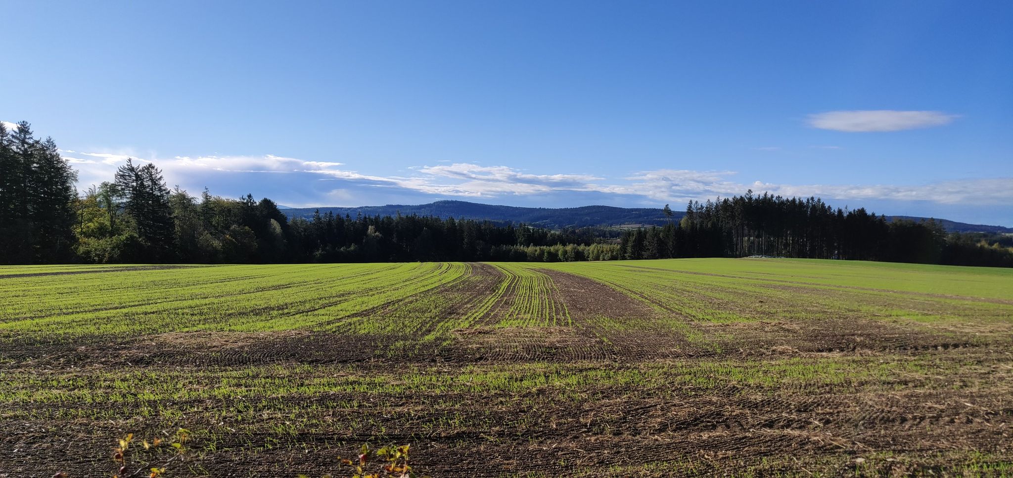 Panorama, herbstliches Oberfranken
