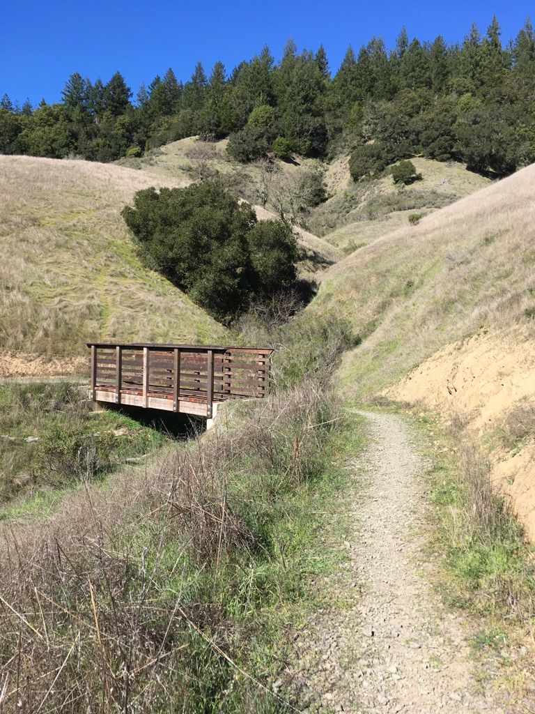 Dirt path leading to a wooden bridge in sunny, grassy hills. - Hiking loop from Lagunitas-Forest Knolls
