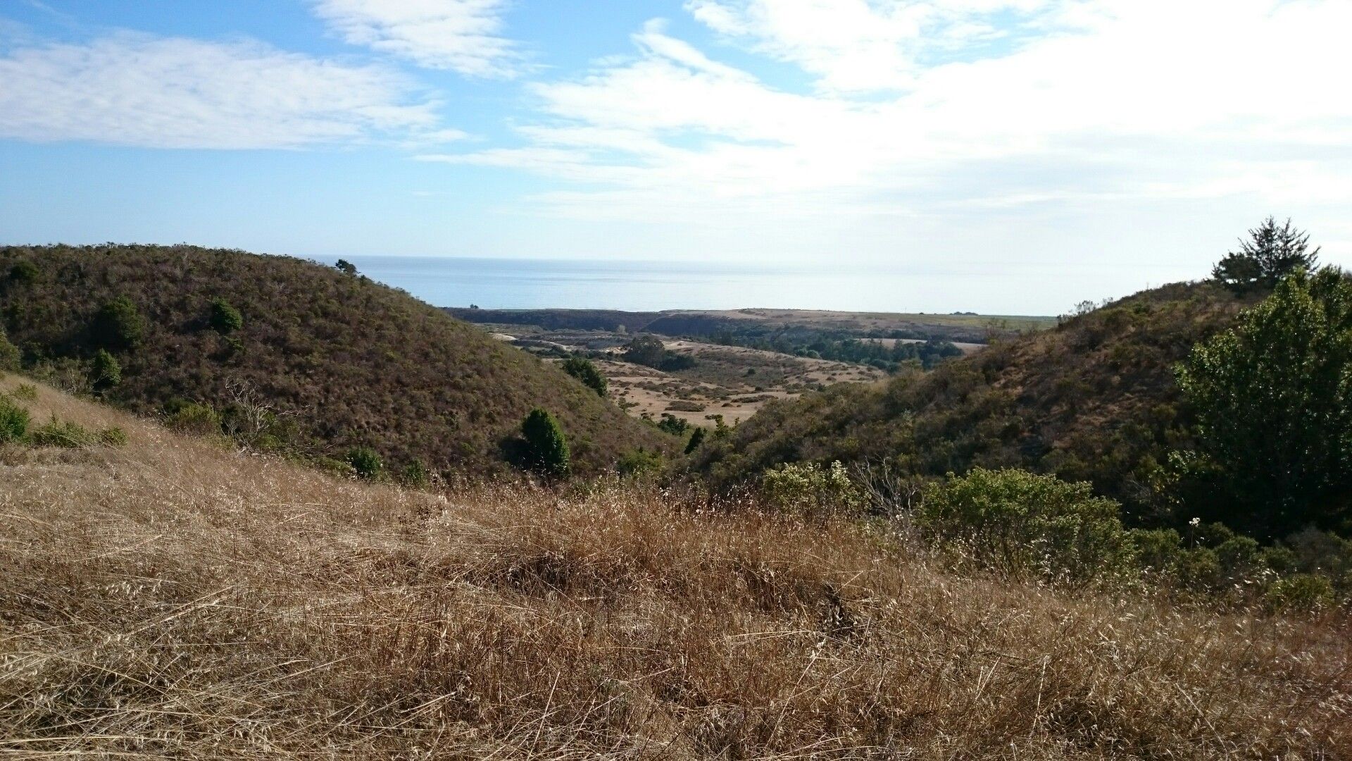 A valley with dry grassy hills leading to a distant ocean under a partly cloudy sky. - Wilder Ridge Loop