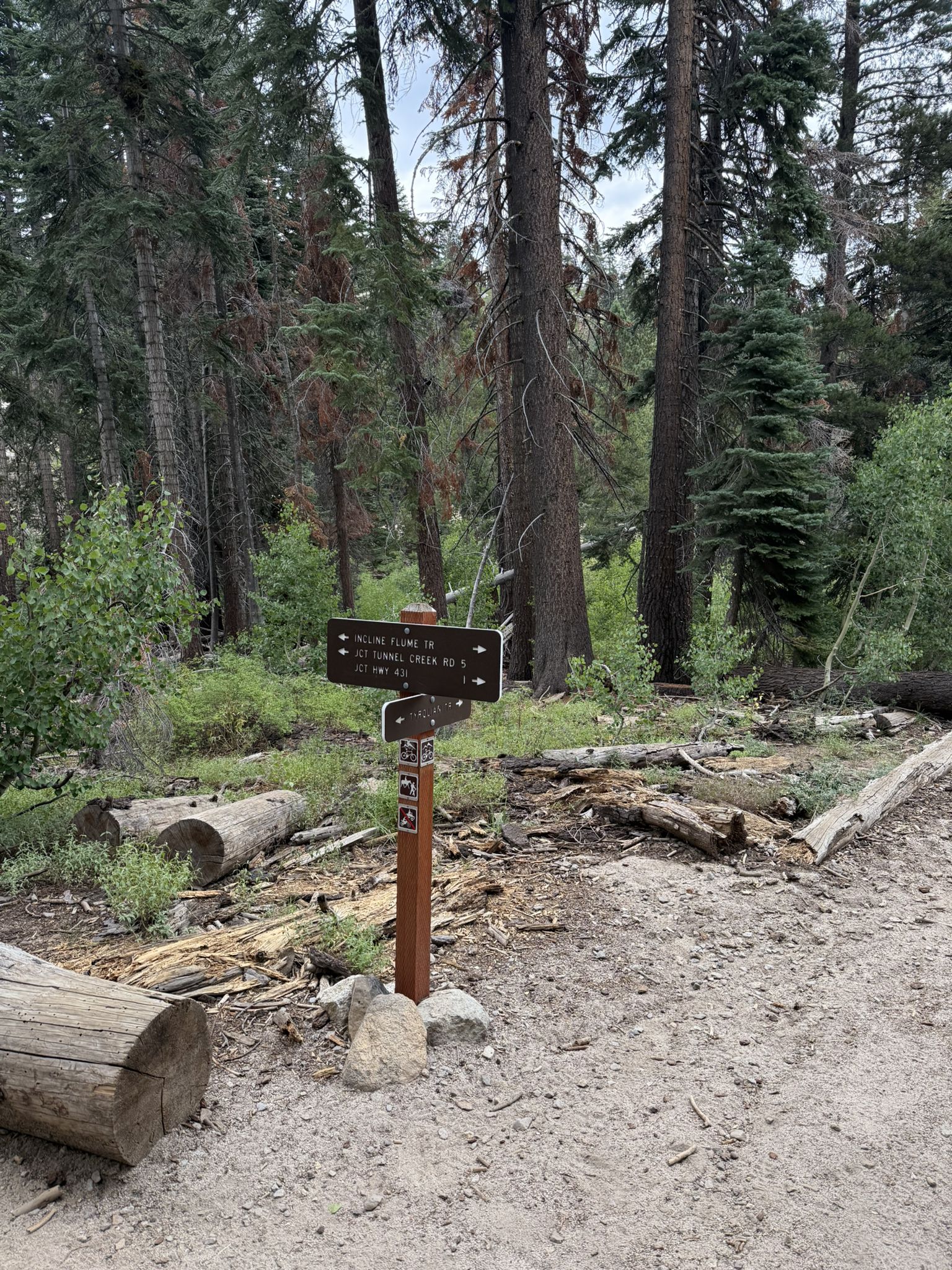 Wooden trail signpost at a dirt path junction in a dense, shaded forest. - Incline Flume and Tyrolean Downhill Loop