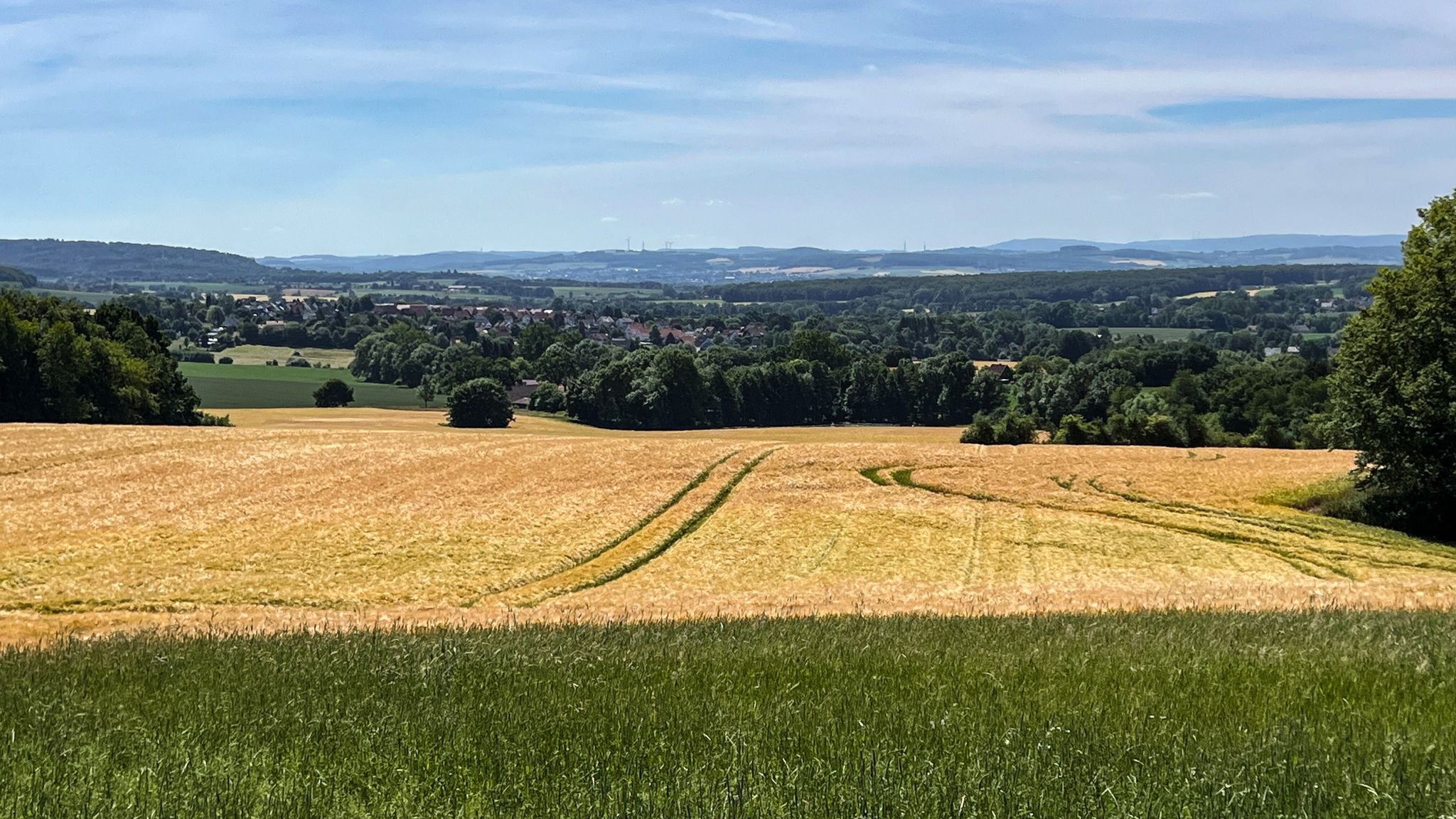 Aussicht auf dem Reinertsberg