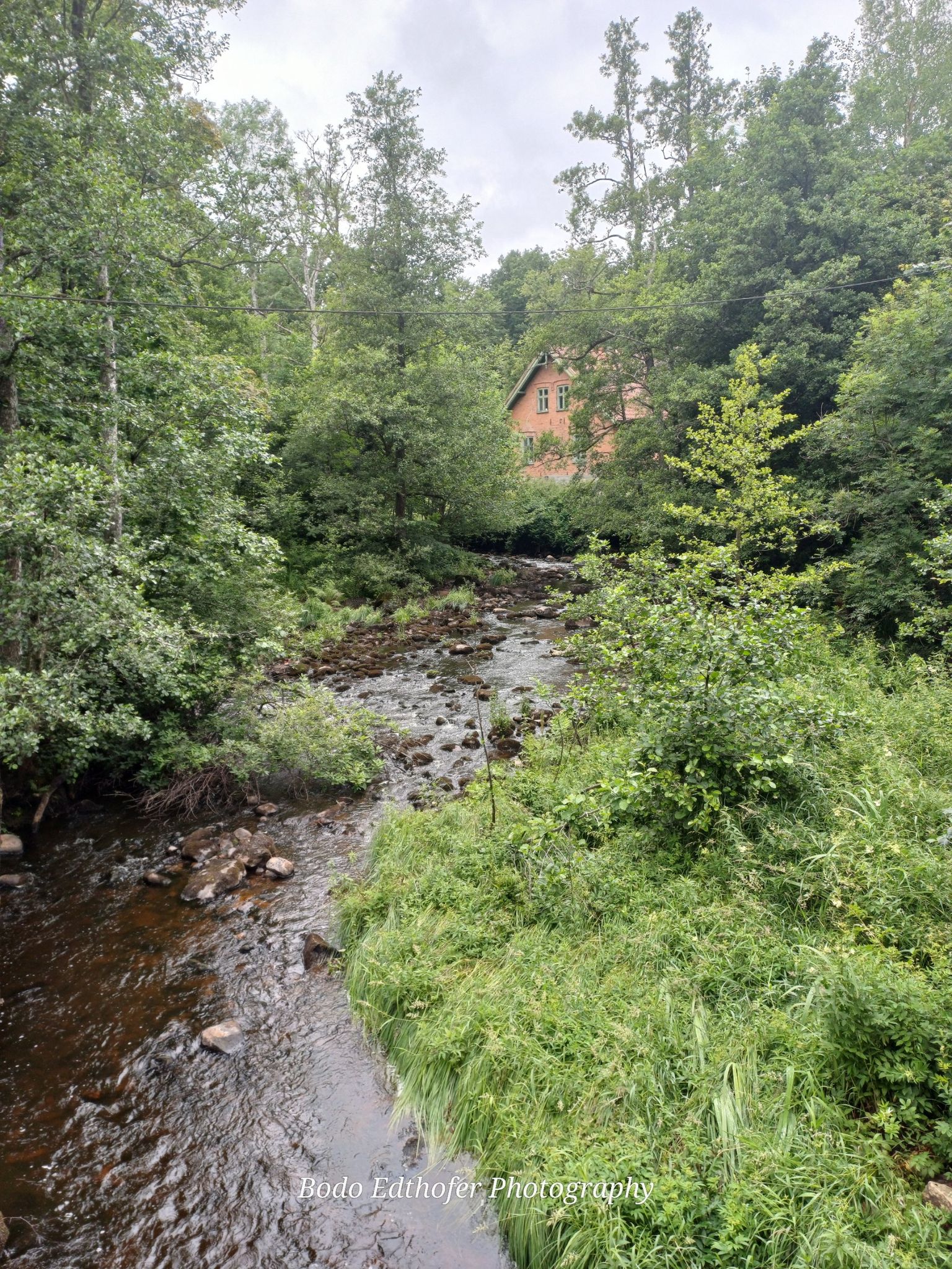Nah an der Natur